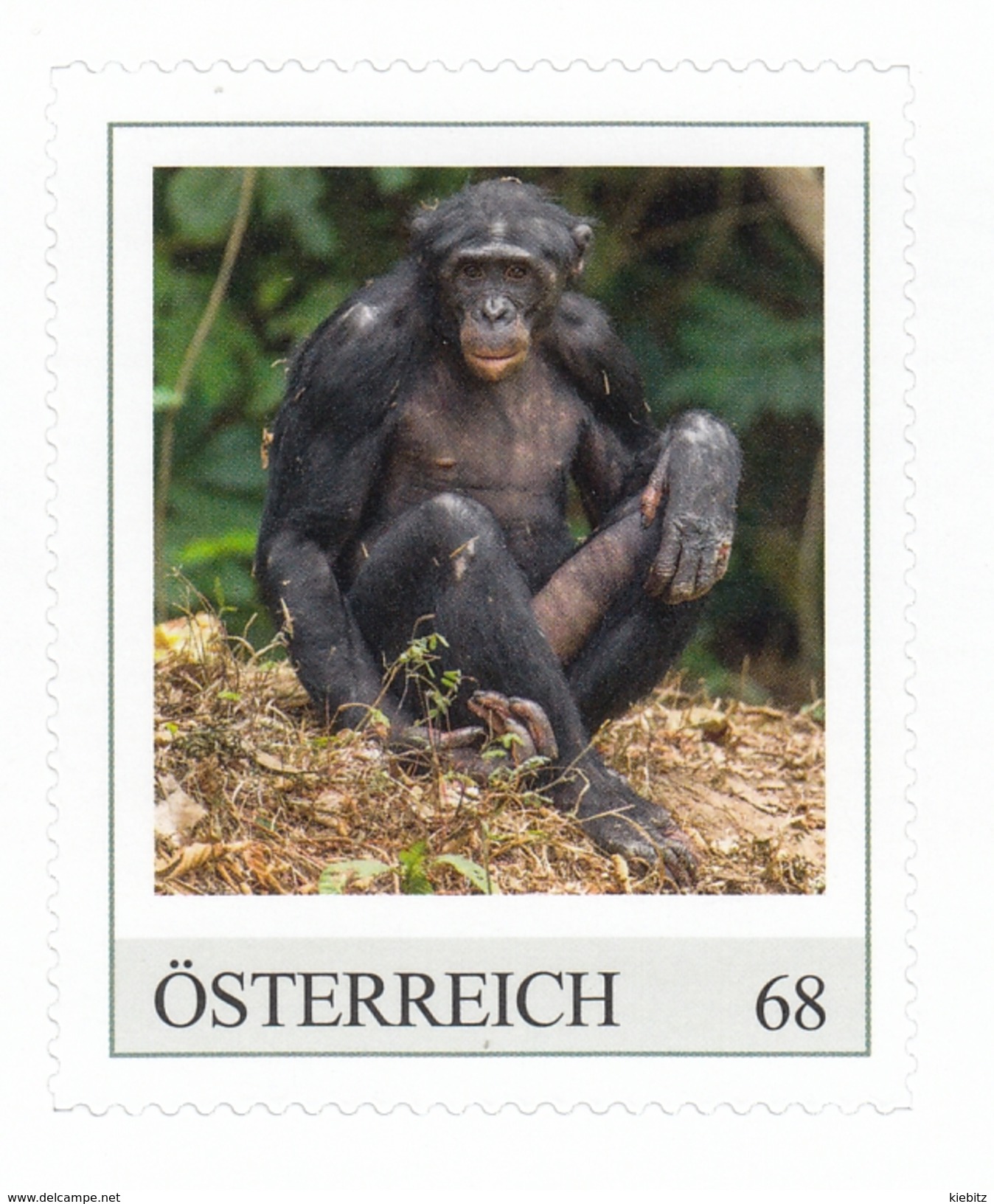 ÖSTERREICH 2017 ** Affe / Bonobo Zwergschimpanse - PM Personalized Stamp MNH - Affen