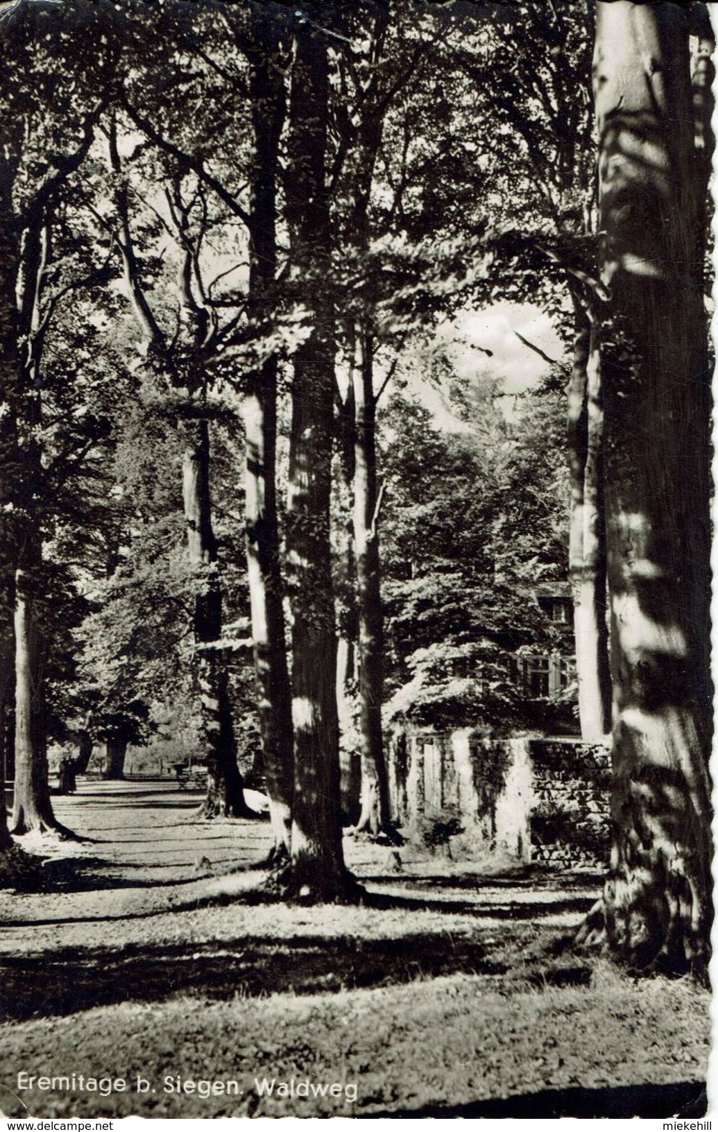 SIEGEN-EREMITAGE-WALDWEG - Siegen