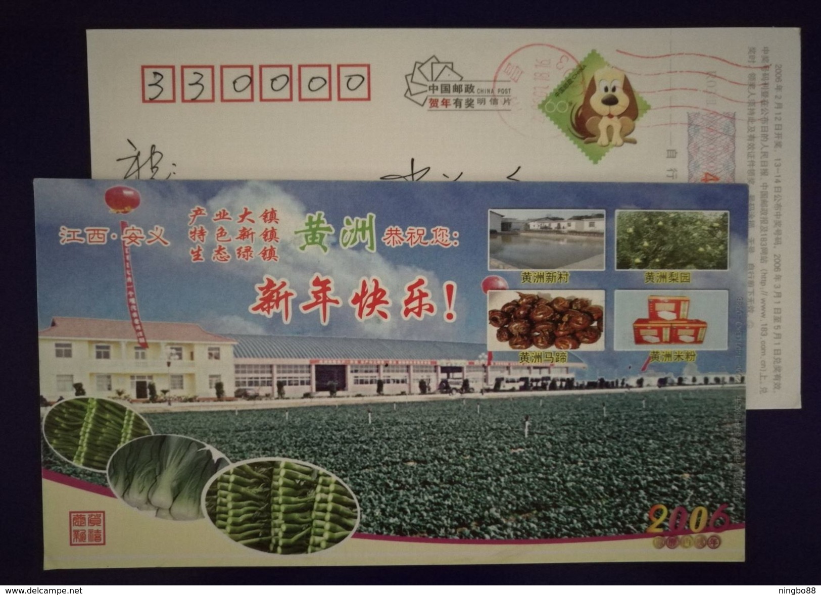 Vegetable Chinese Cabbage,Chinese Flowering Cabbage,water Chestnut,CN 06 Huangzhou Town Special Planting Industry PSC - Vegetables