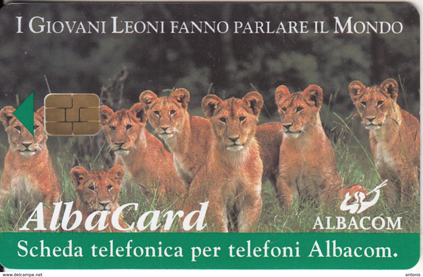 ITALY - Seven Young Lions(IPM Test), Albacom Telecard L.3000, Tirage 1000, Exp.date 31/12/98, Used - Other & Unclassified