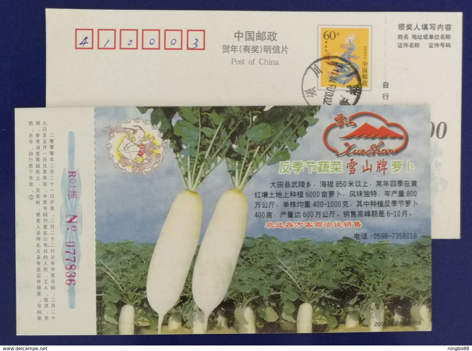 China 2000 Datian Off-season Vegetable Red Radish Postal Stationery Card - Vegetazione