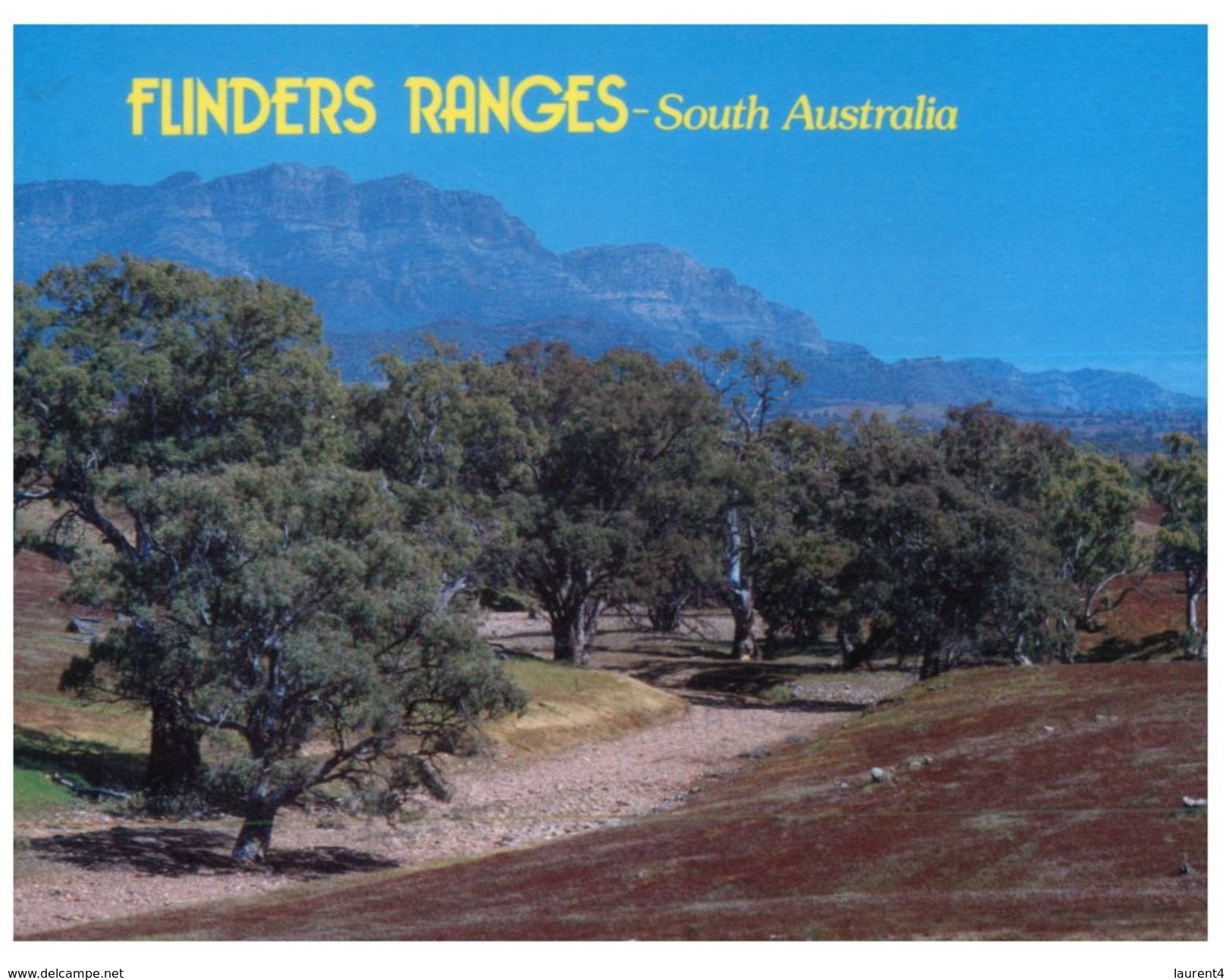 (765) Australia - (with  Stamp At Back)  SA - Flinders Ranges - Flinders Ranges