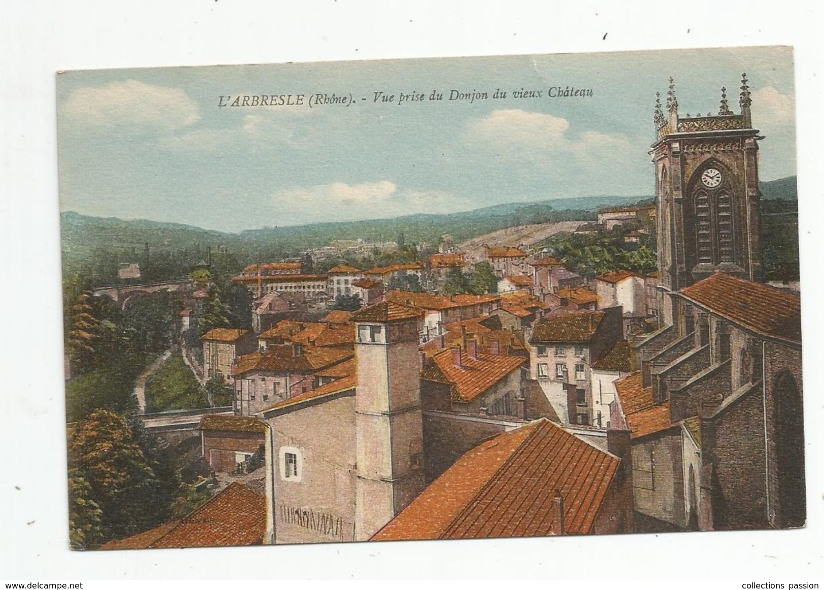 Cp , 69 , L'ARBRESLE , Vue Prise Du Donjon Du Vieux Château , Vierge - L'Arbresle