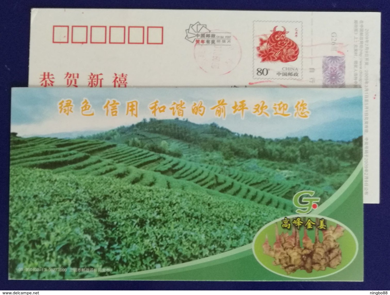 Hill Zingiber Officinale,China 2009 Qianping Agriculture Advertising Pre-stamped Card - Legumbres