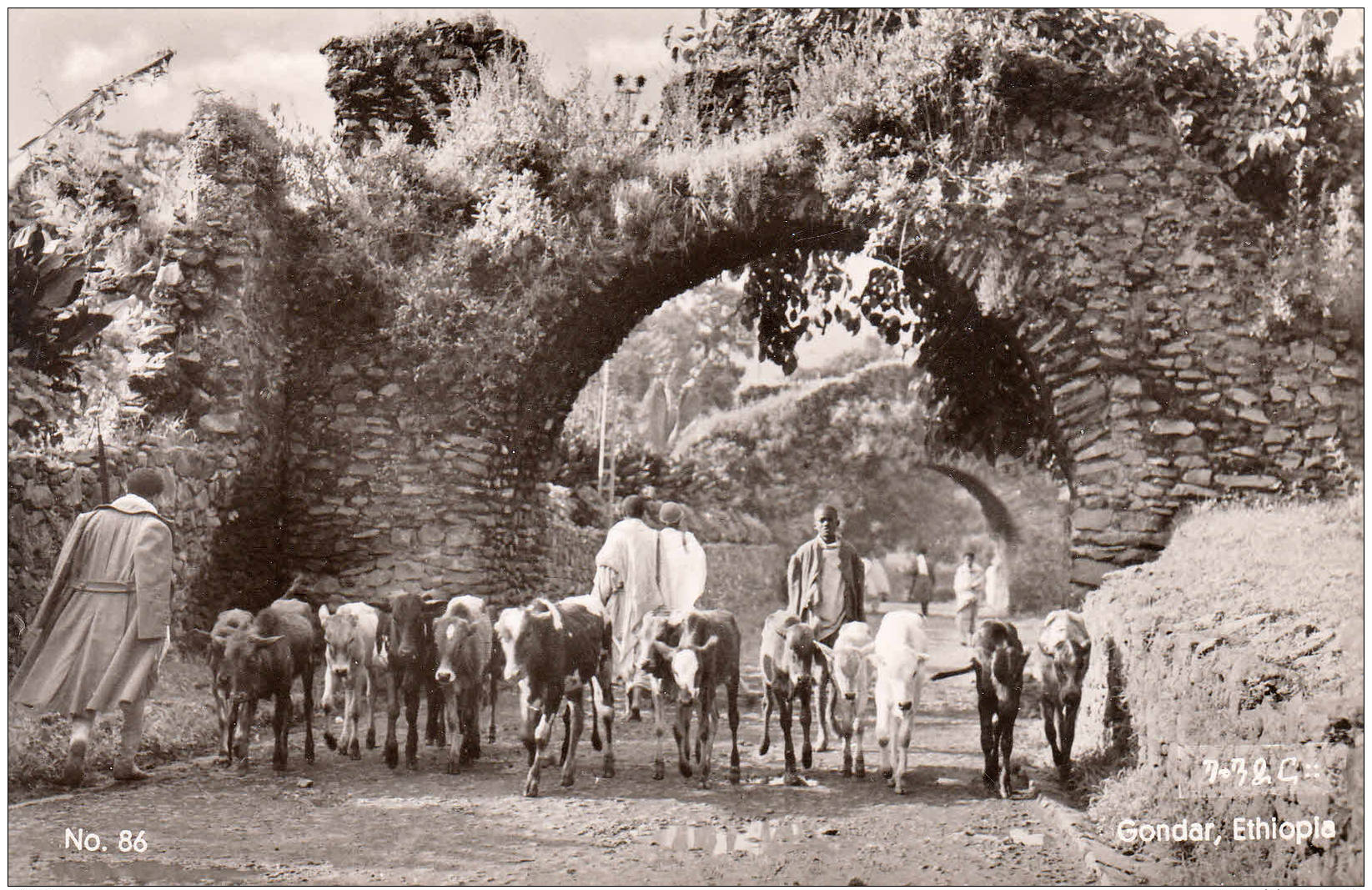 ETHIOPIE - 1964 - Carte Postale Pour La France - Gondar - Etiopía