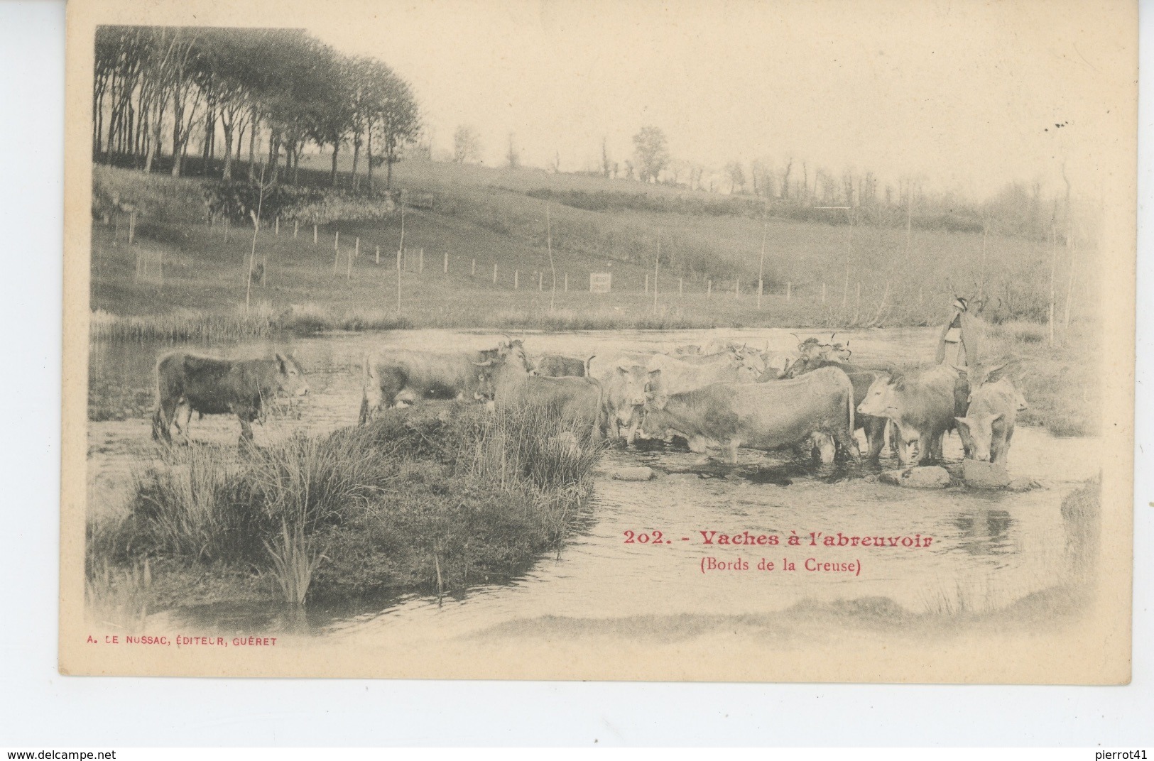 BORDS DE LA CREUSE - Vaches à L'abreuvoir - Edit. LE NUSSAC à GUERET - Autres & Non Classés