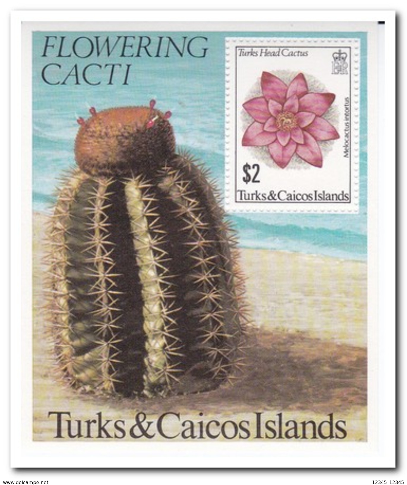 Turks & Caicos 1981, Postfris MNH, Cacti - Turks- En Caicoseilanden