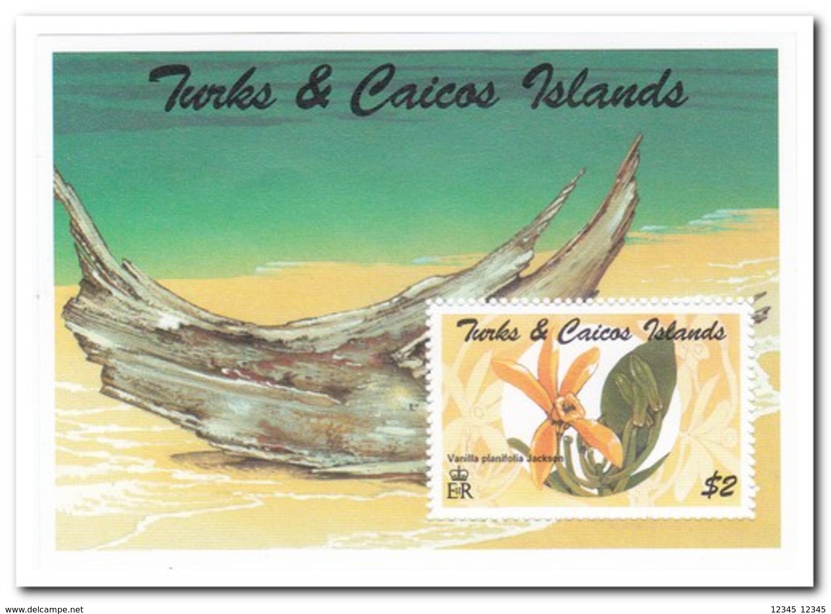 Turks & Caicos 1995, Postfris MNH, Flowers - Turks & Caicos