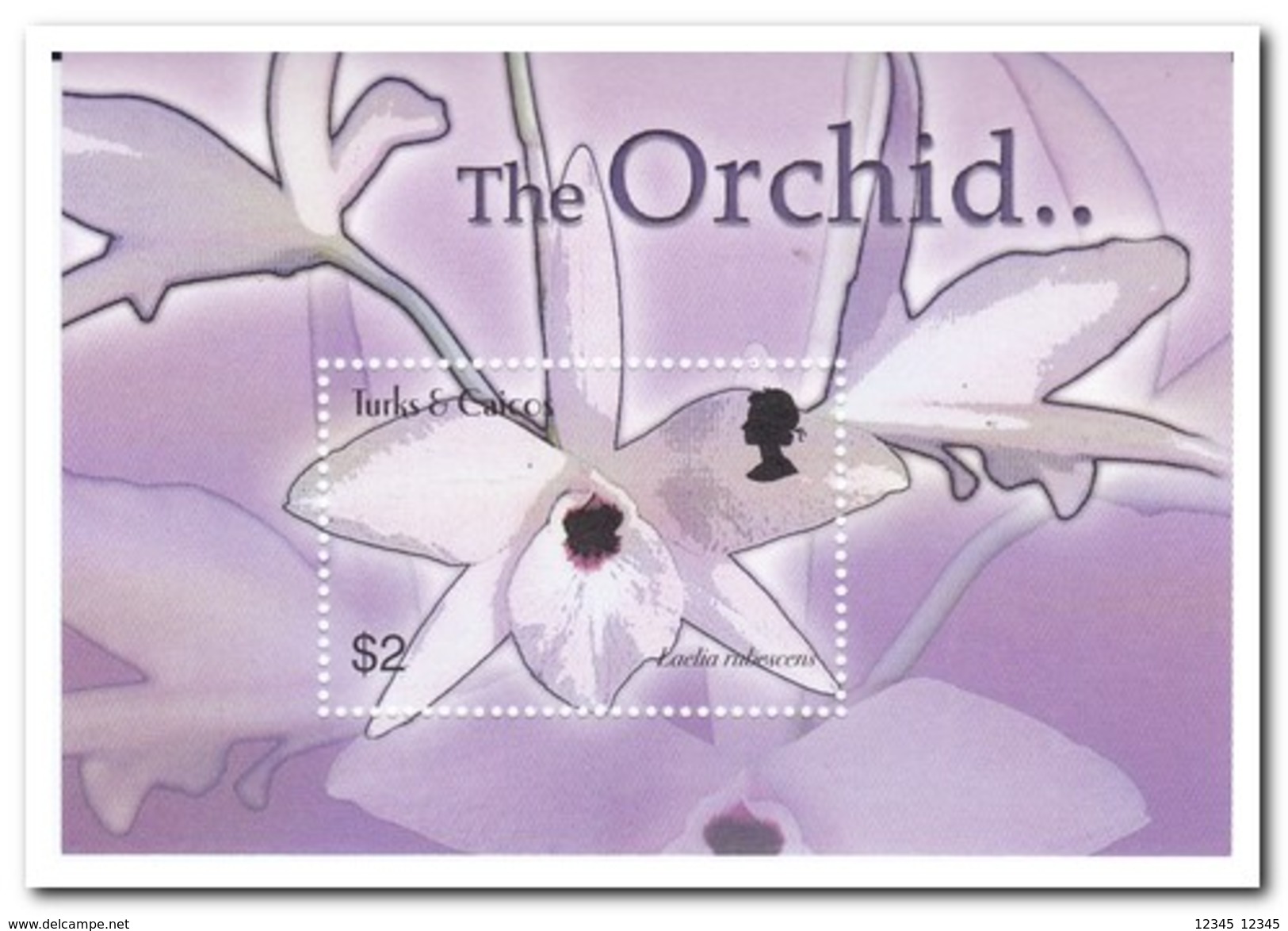 Turks & Caicos 2003, Postfris MNH, Flowers, Orchids - Turks- En Caicoseilanden