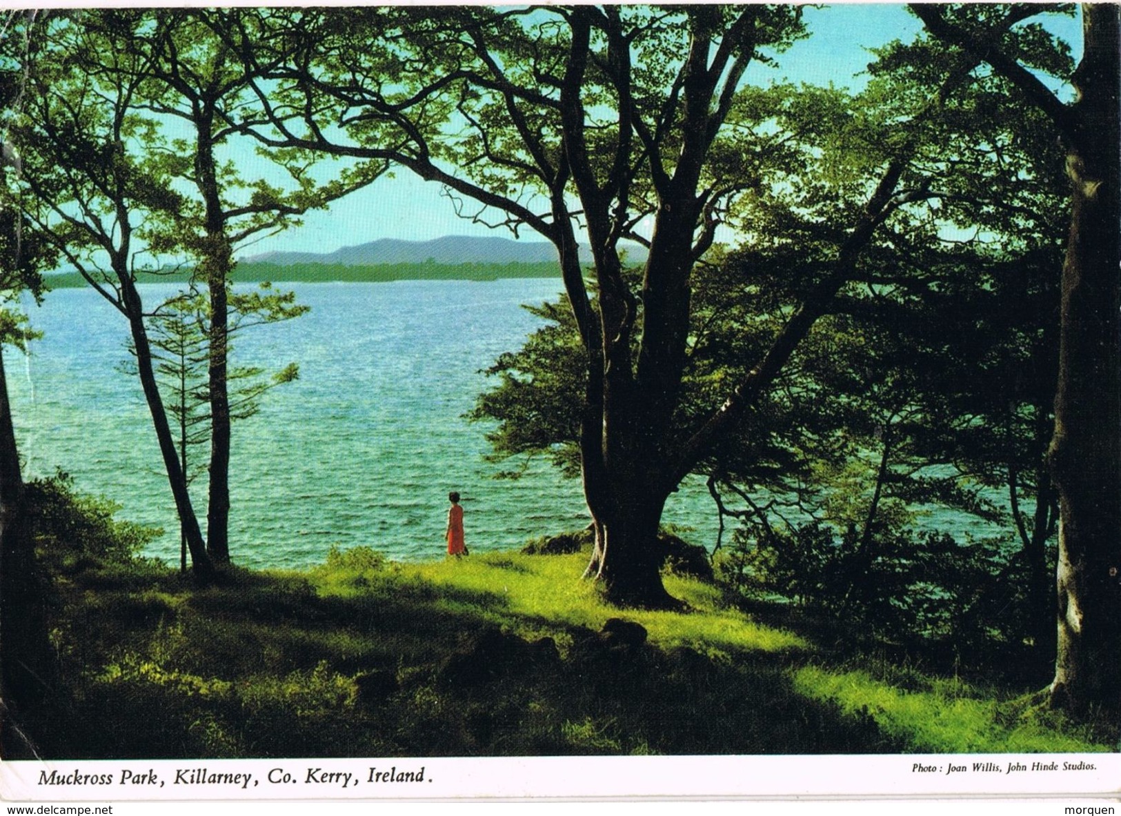 24721. Postal KILLARNEY, Muckross Park (Irlanda) Eire 1975 - Lettres & Documents