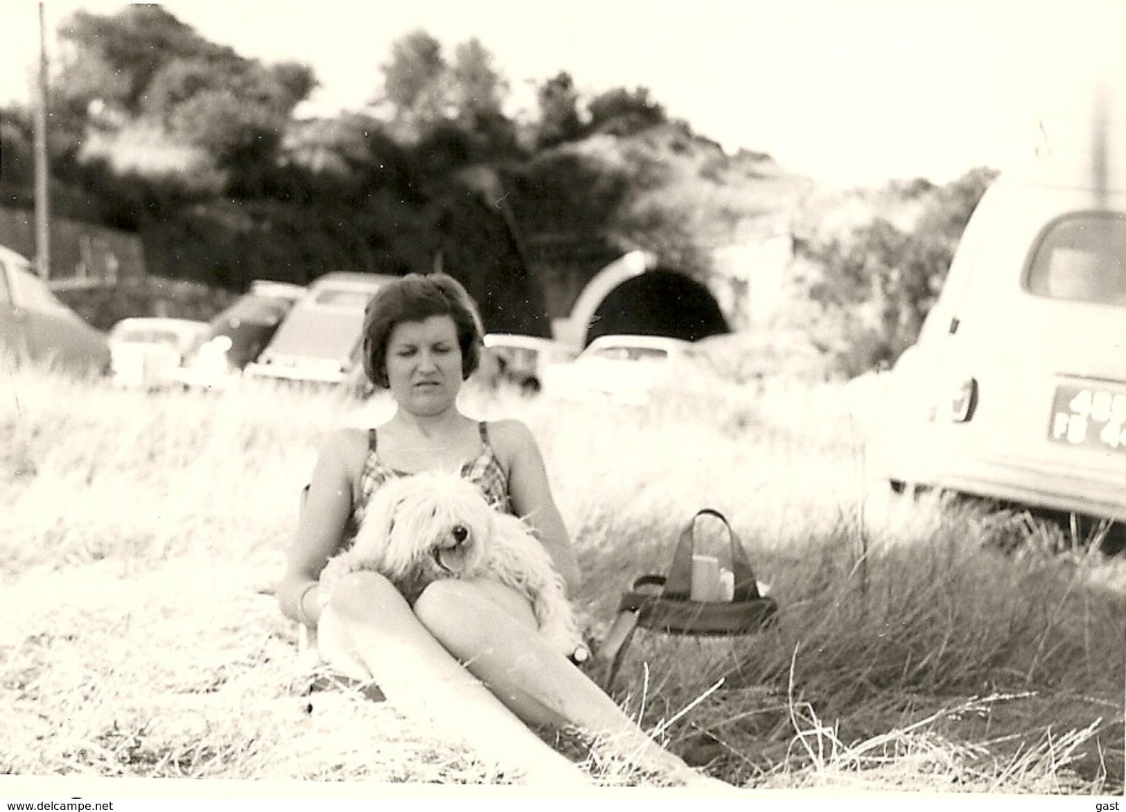 44  OUDON   1967    AU  PRINTEMPS SUR  LES  BORDS DE LA  LOIRE (  CHIEN +  VOITURES 2CV CITROEN  203 PEUGEOT  BREACK ) - Oudon