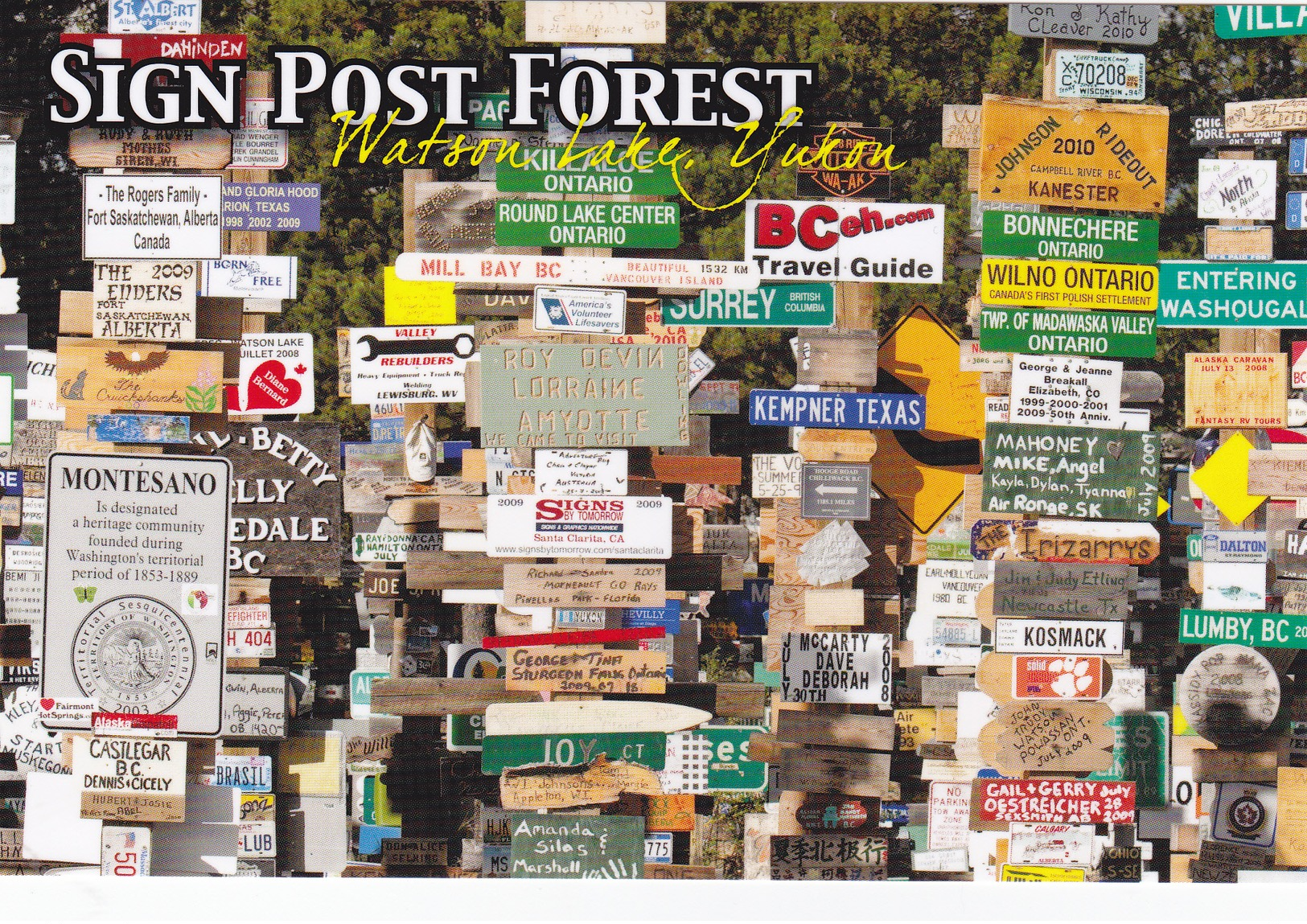 Watson Lake Signpost Forest, YUKON, YK, CA, CANADA, CANADIAN POSTCARD POST CARD, Carte Postale - Yukon