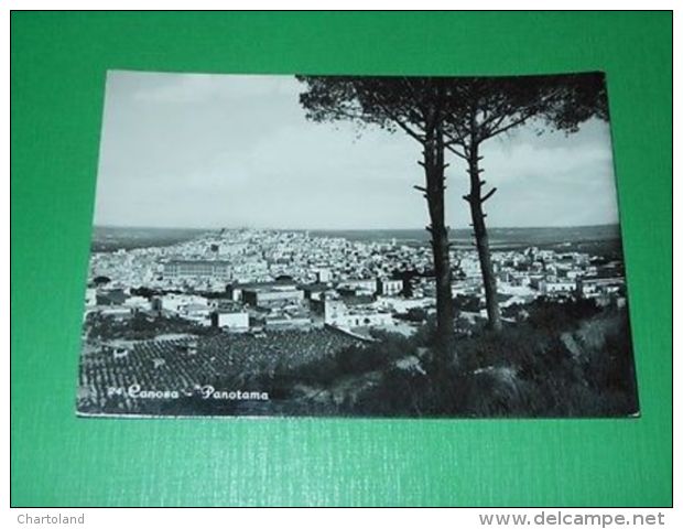 Cartolina Canosa - Panorama 1957 - Bari