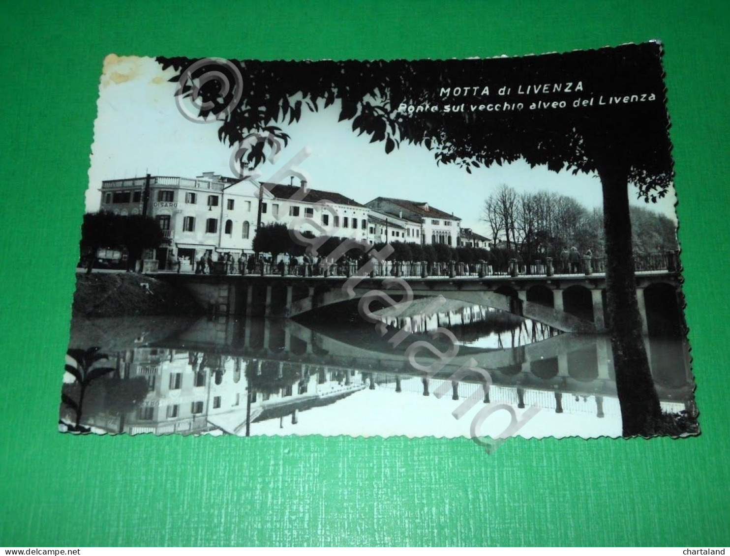Cartolina Motta Di Livenza - Ponte Sul Vecchio Alveo Del Livenza 1956 - Treviso