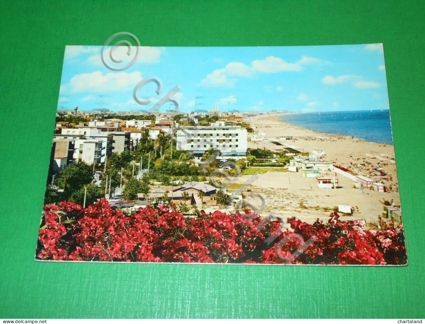 Cartolina Riccione - Veduta Panoramica 1967 - Rimini