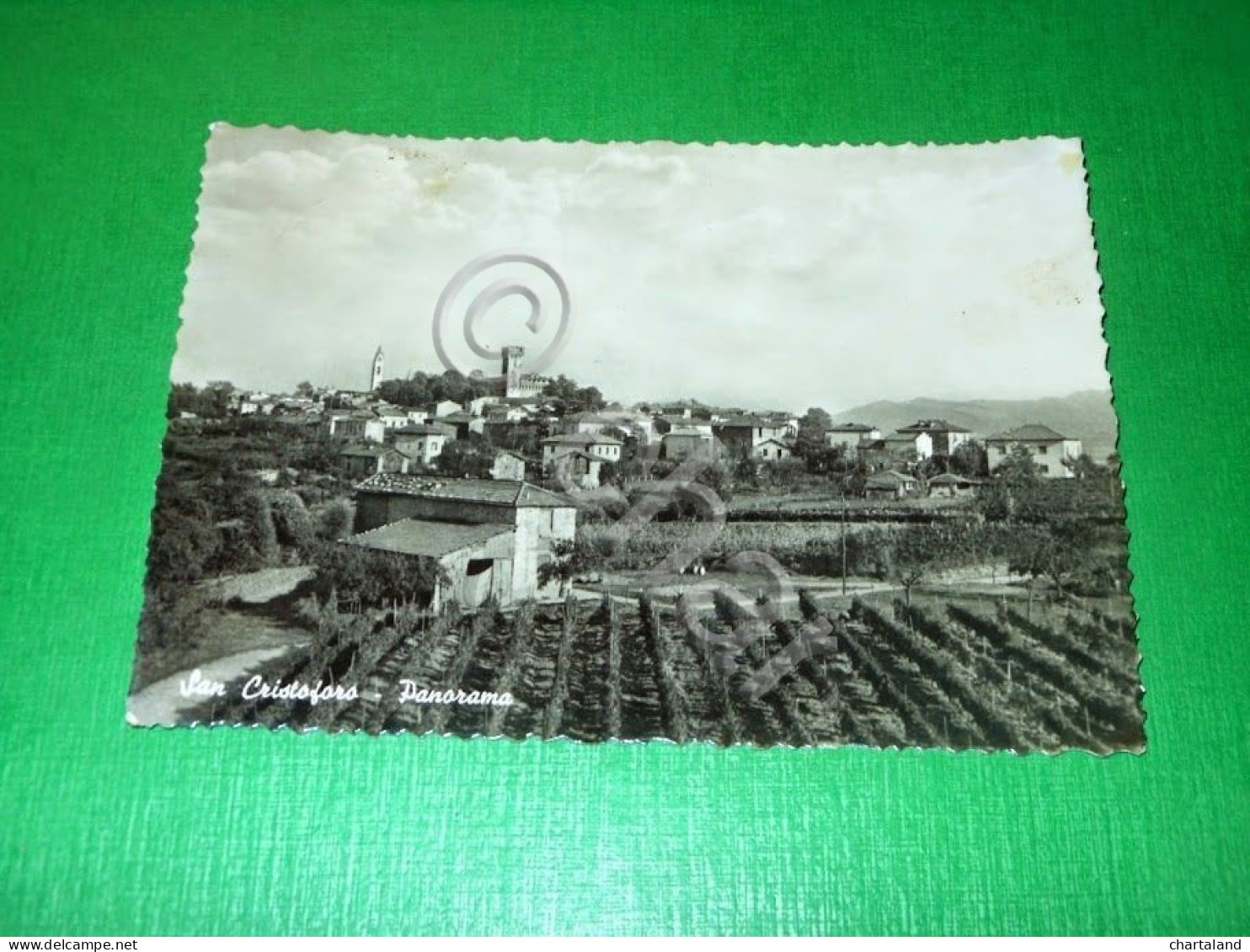 Cartolina San Cristoforo ( Alessandria ) - Panorama 1957 - Alessandria