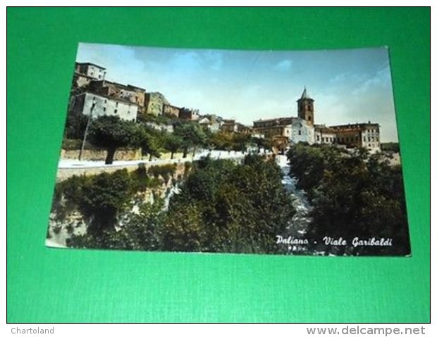 Cartolina Paliano ( Frosinone ) - Viale Garibaldi 1955 - Frosinone