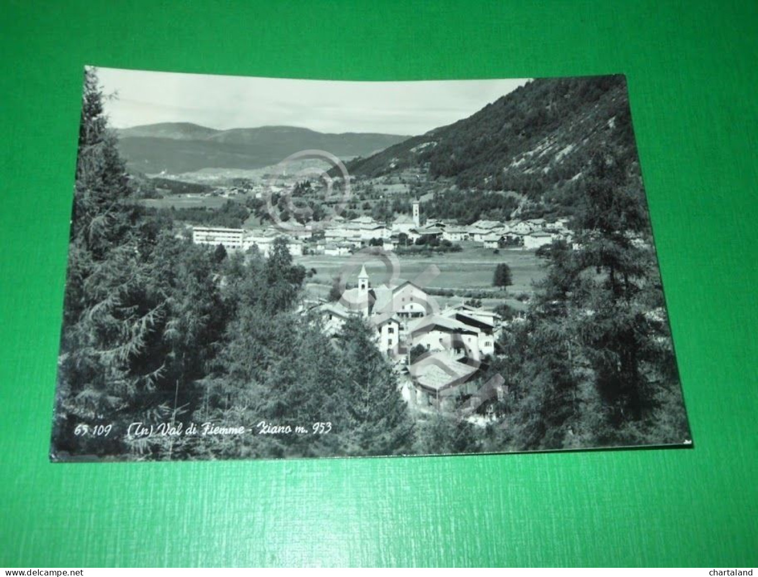 Cartolina Val Di Fiemme ( Trento ) - Ziano - Panorama 1968 - Trento