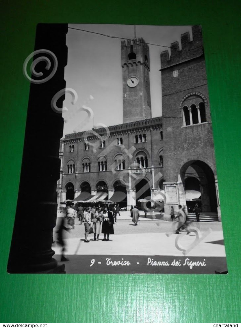 Cartolina Treviso - Piazza Dei Signori - 1954 - Treviso