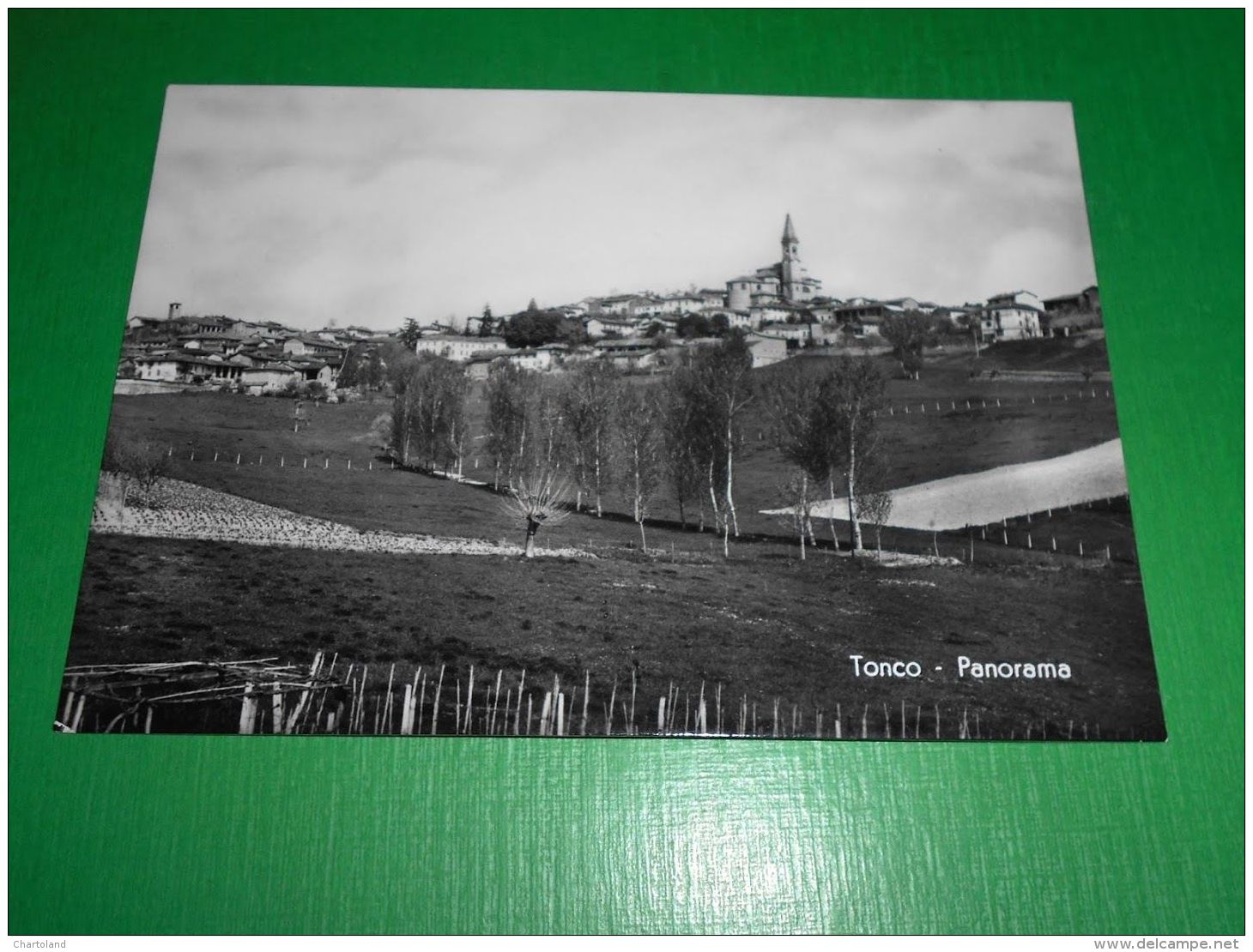 Cartolina Tonco - Panorama 1954 - Asti