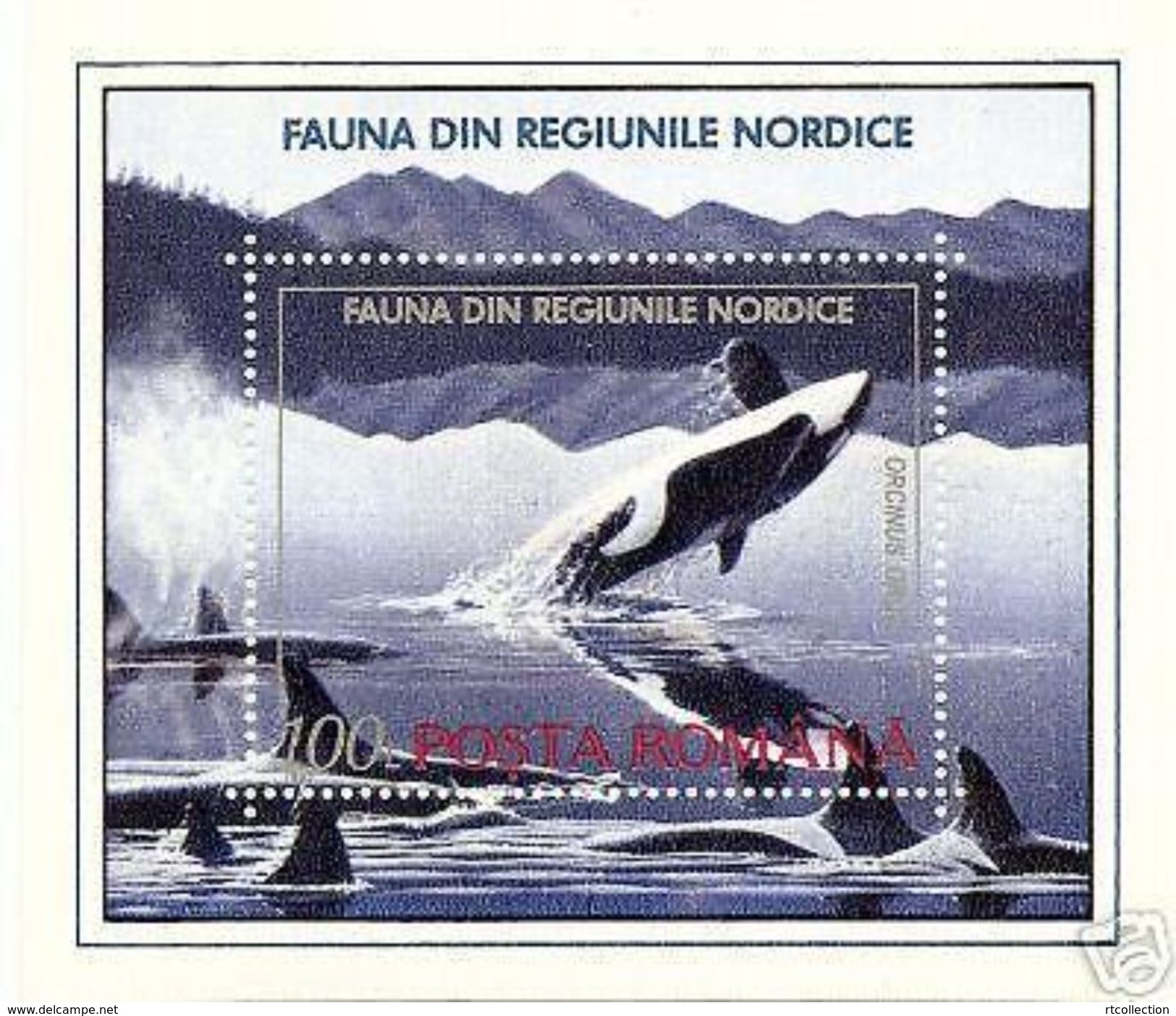 Romania 1992 Animals Marine Mammals Whales Polar Region Mountain Nature Sea Whale Animal Mammal S/S Stamp MNH Sc 3789 - Whales