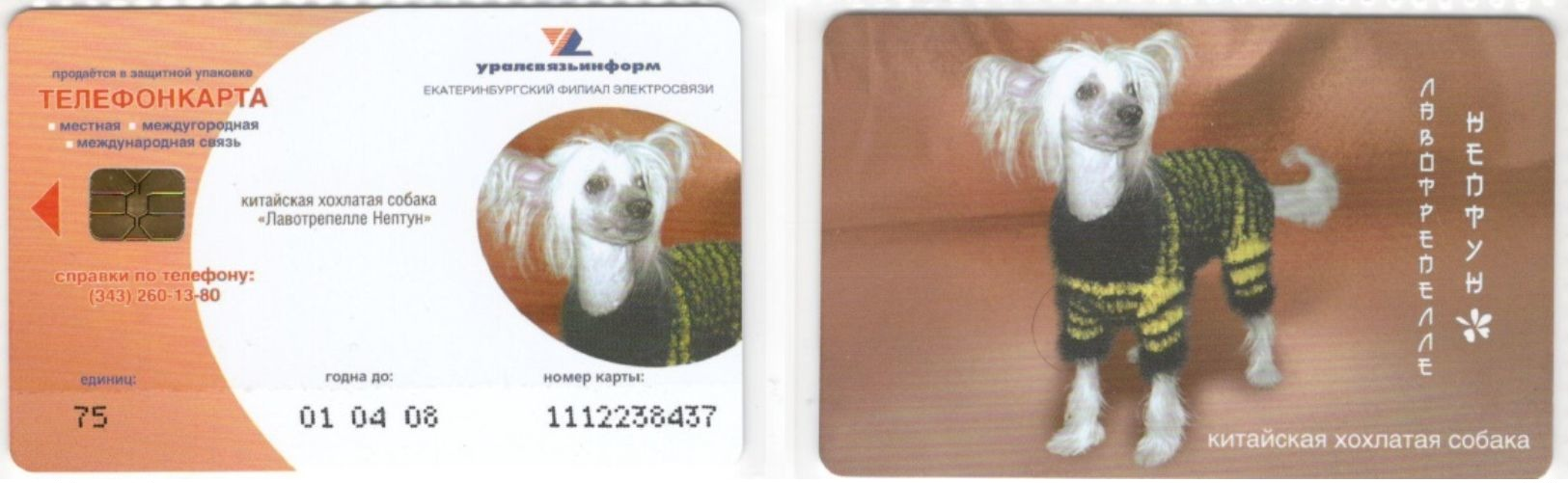 Russia - Ekaterinburg - Small Dog 4 - 75 Units - 01 10 07 - Russia