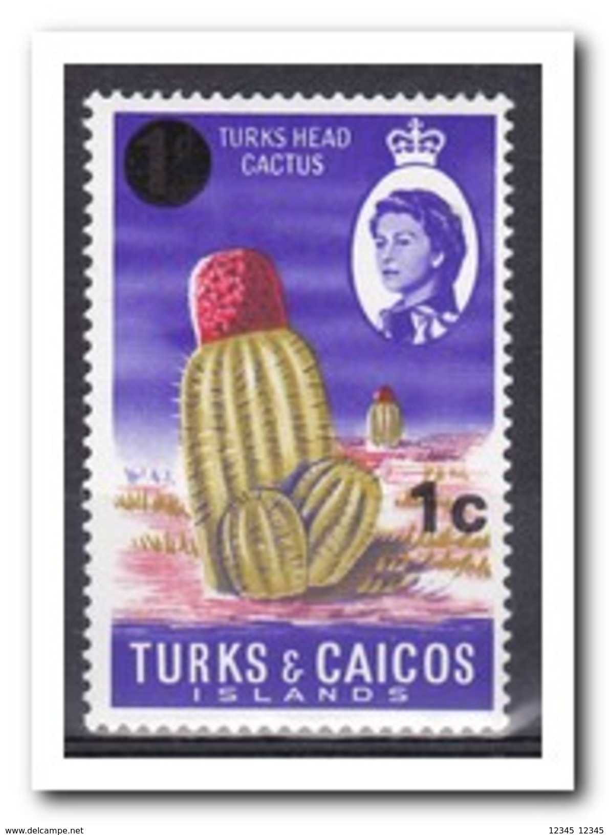 Turks & Caicos 1969, Postfris MNH, Cacti - Turks And Caicos