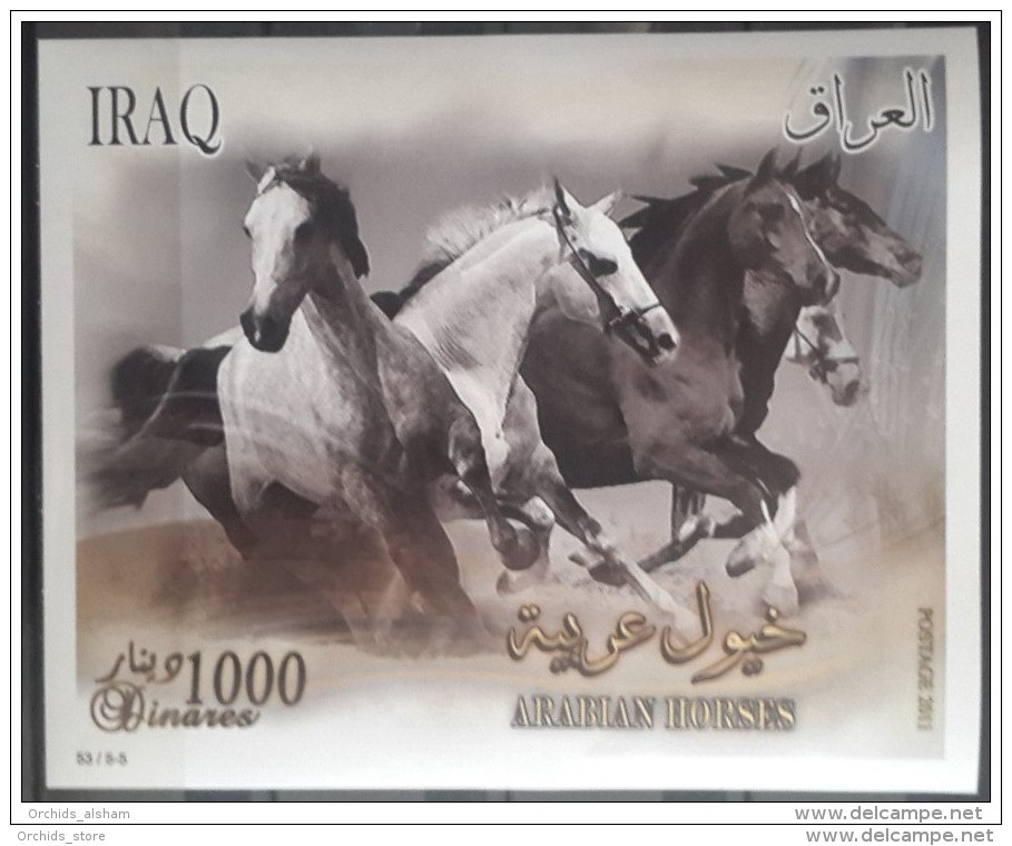 Iraq 2011 MNH - Souvenir Sheet - Arabian Horses - Animals - Fauna - Desert - Irak