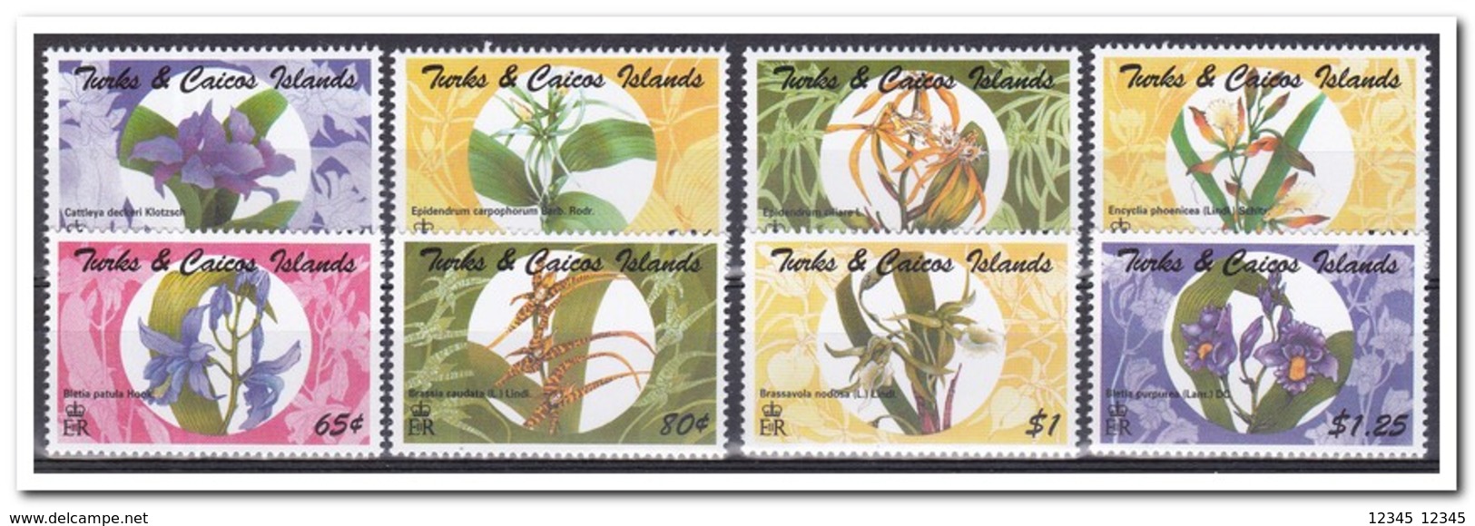 Turks & Caicos 1995, Postfris MNH, Flowers - Turks- En Caicoseilanden