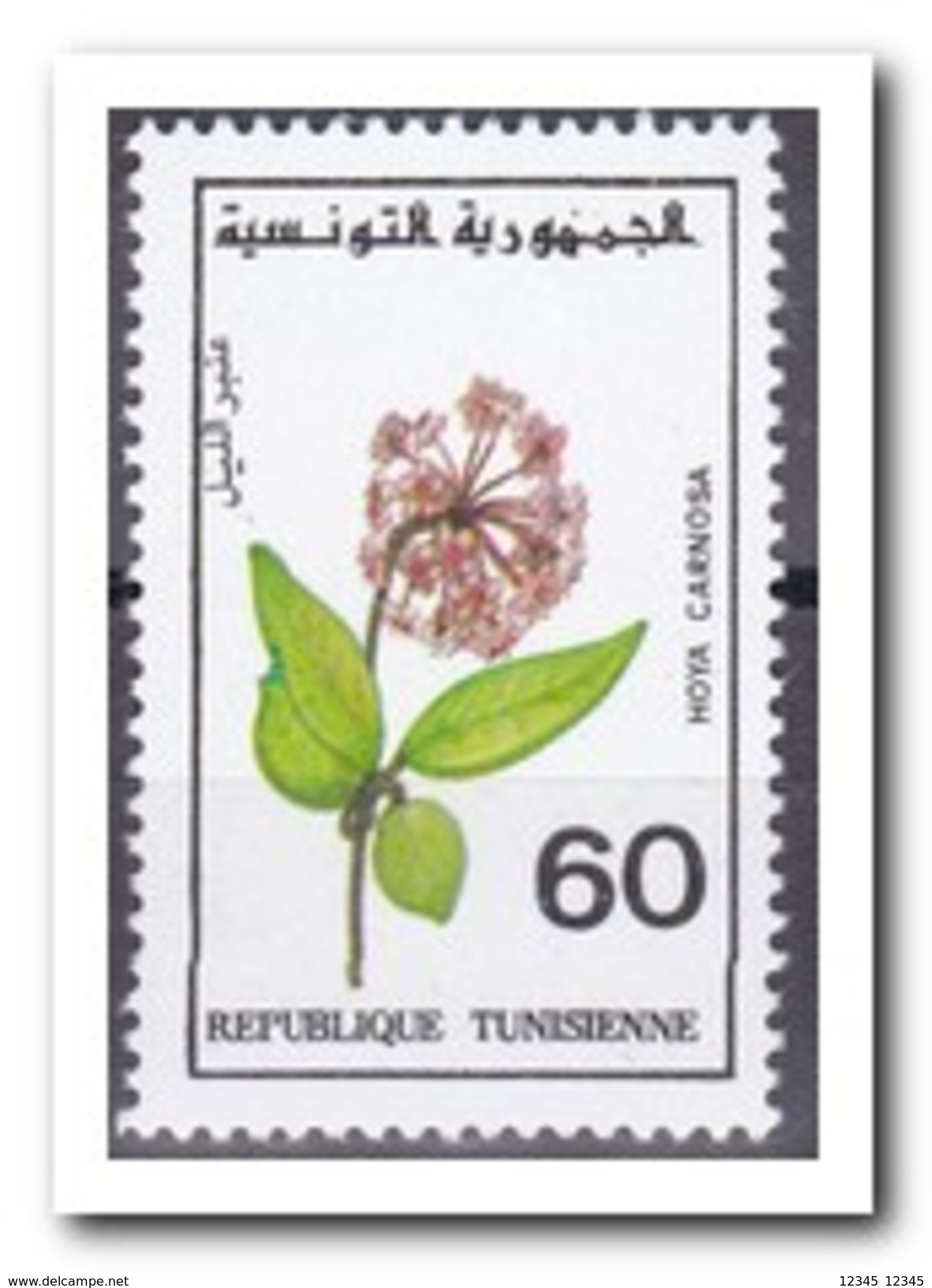 Tunesië 1993, Postfris MNH, Flowers - Tunesië (1956-...)