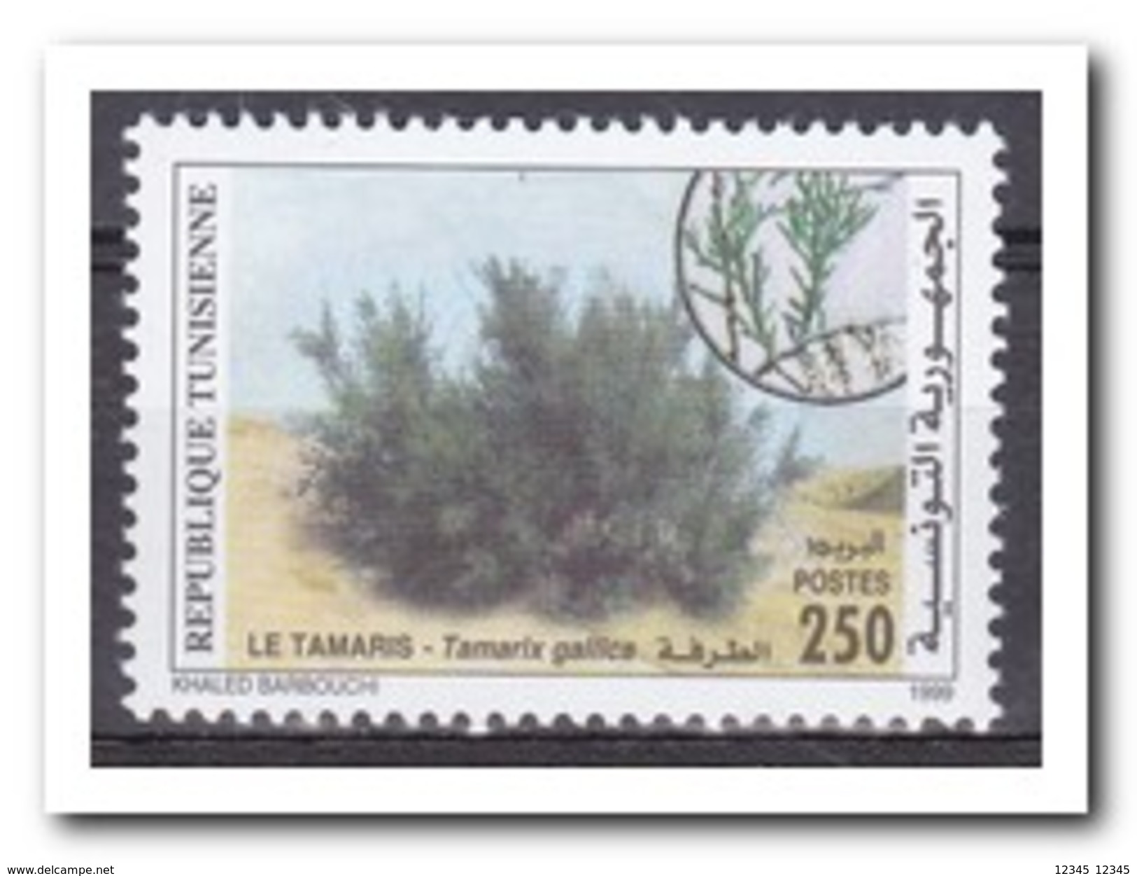 Tunesië 1999, Postfris MNH, Plants - Tunesië (1956-...)