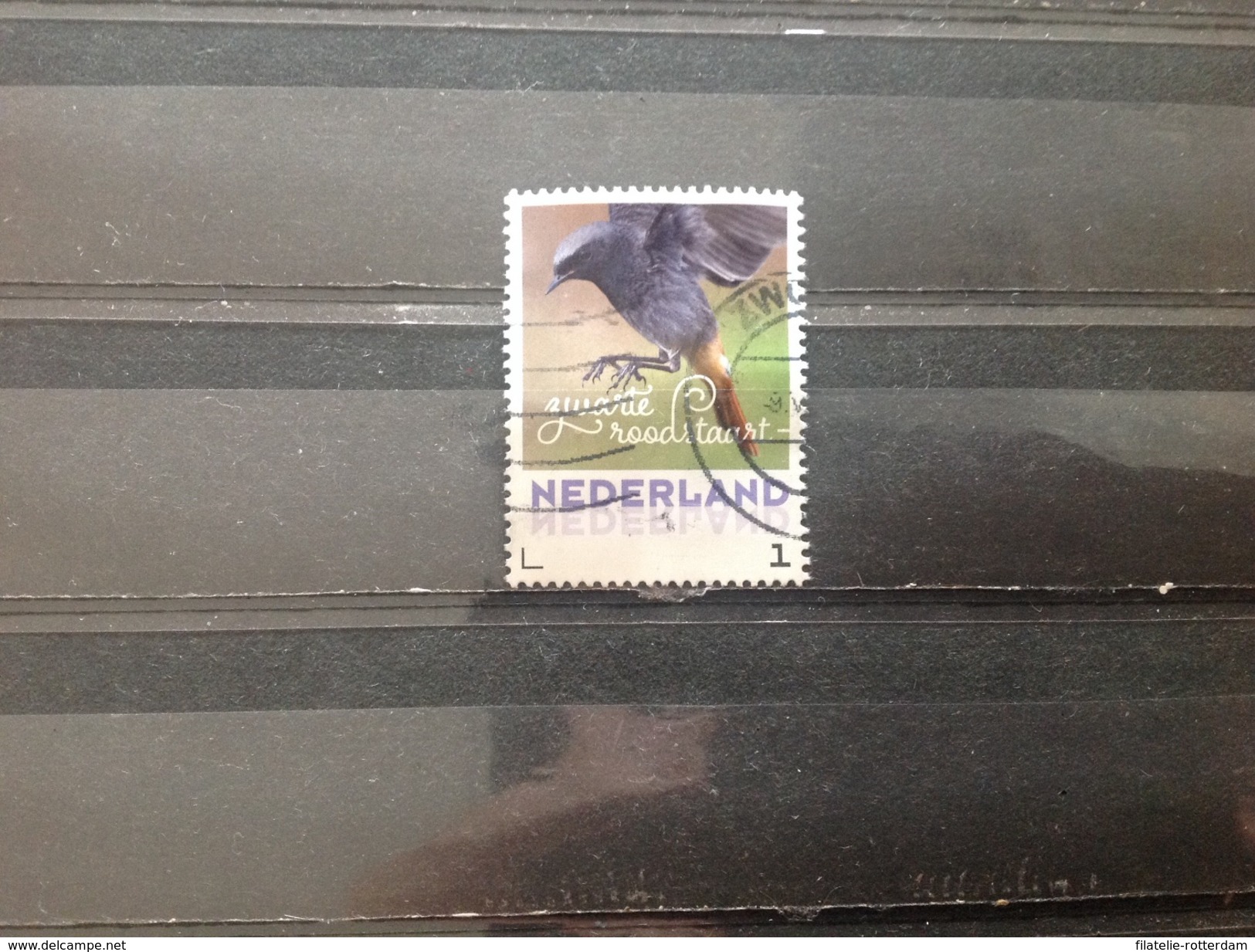 Nederland / The Netherlands - Vogels, Zwarte Roodstaart 2017 - Used Stamps