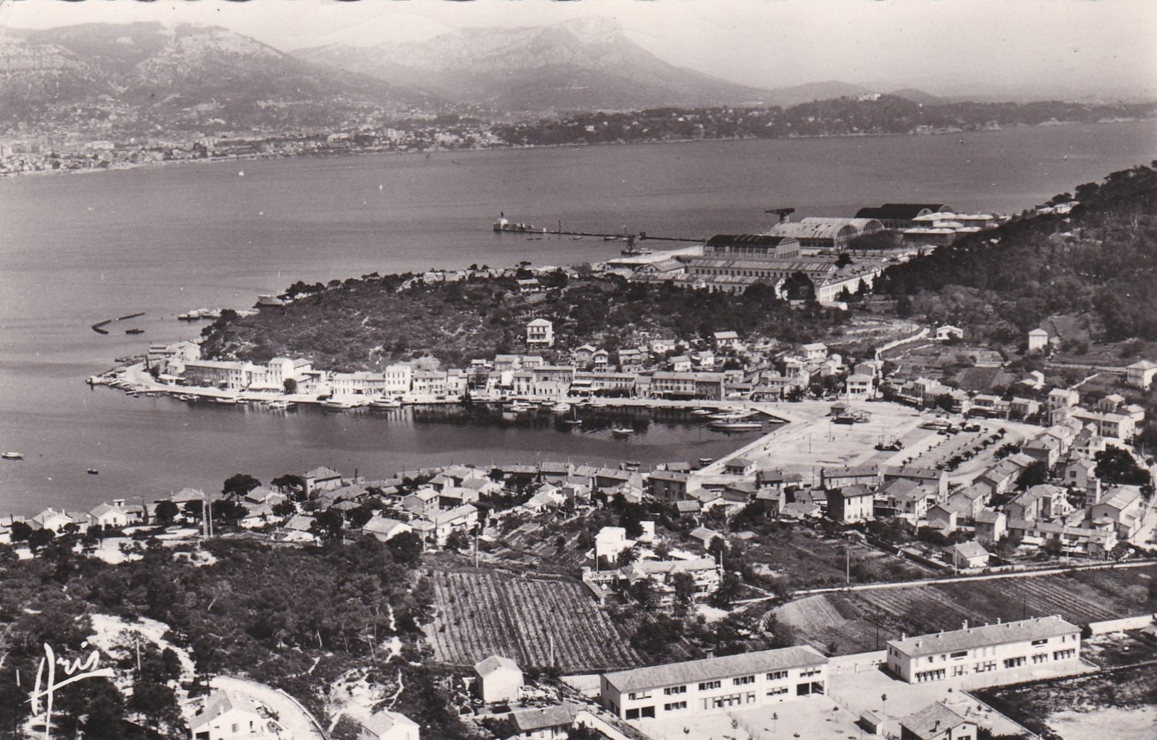 CPSM  Dentelée NB En  PF  De  ST-MANDRIER  (83)  -   Vue Générale. Au Fond, La Rade Des Vignettes Et Le Coudon   //  TBE - Saint-Mandrier-sur-Mer