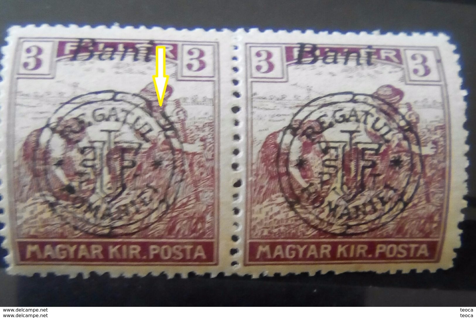 ERRORS TRANSYLVANIA Occupation Romania 1919,  3 Bani, MNH PAIR X 2 , Broken OVERPRINT - Transilvania