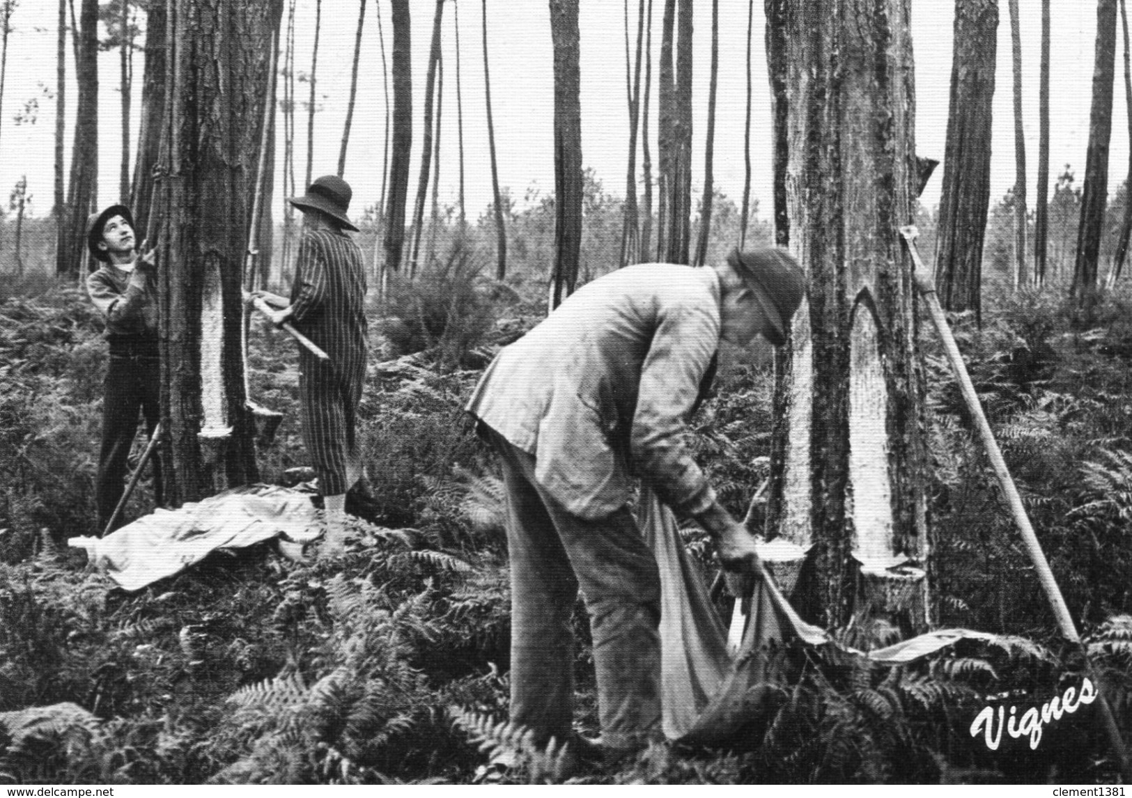 Les Landes D'autrefois Lou Bareuscot Raclage Des Carres Au Debut De L'hiver - Autres & Non Classés