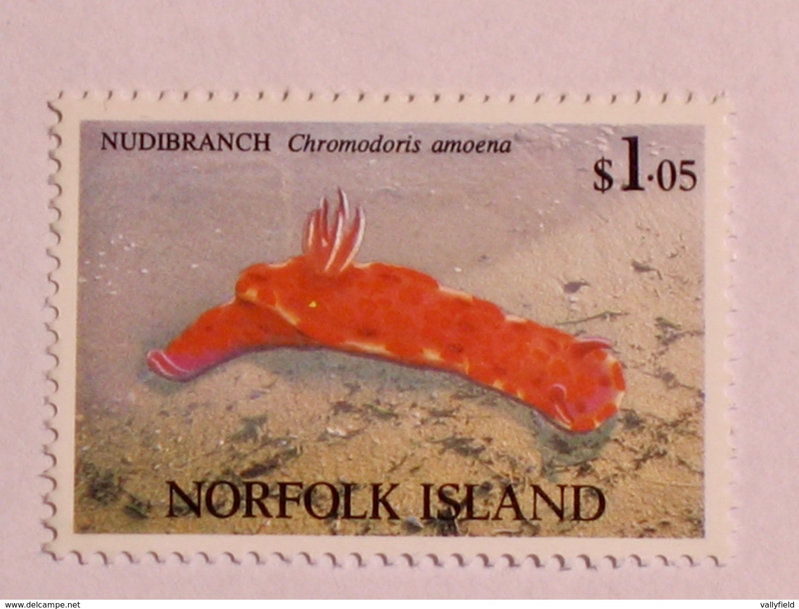 ILE NORFOLK  1993   LOT# 3  NUDIBRANCH - Ile Norfolk