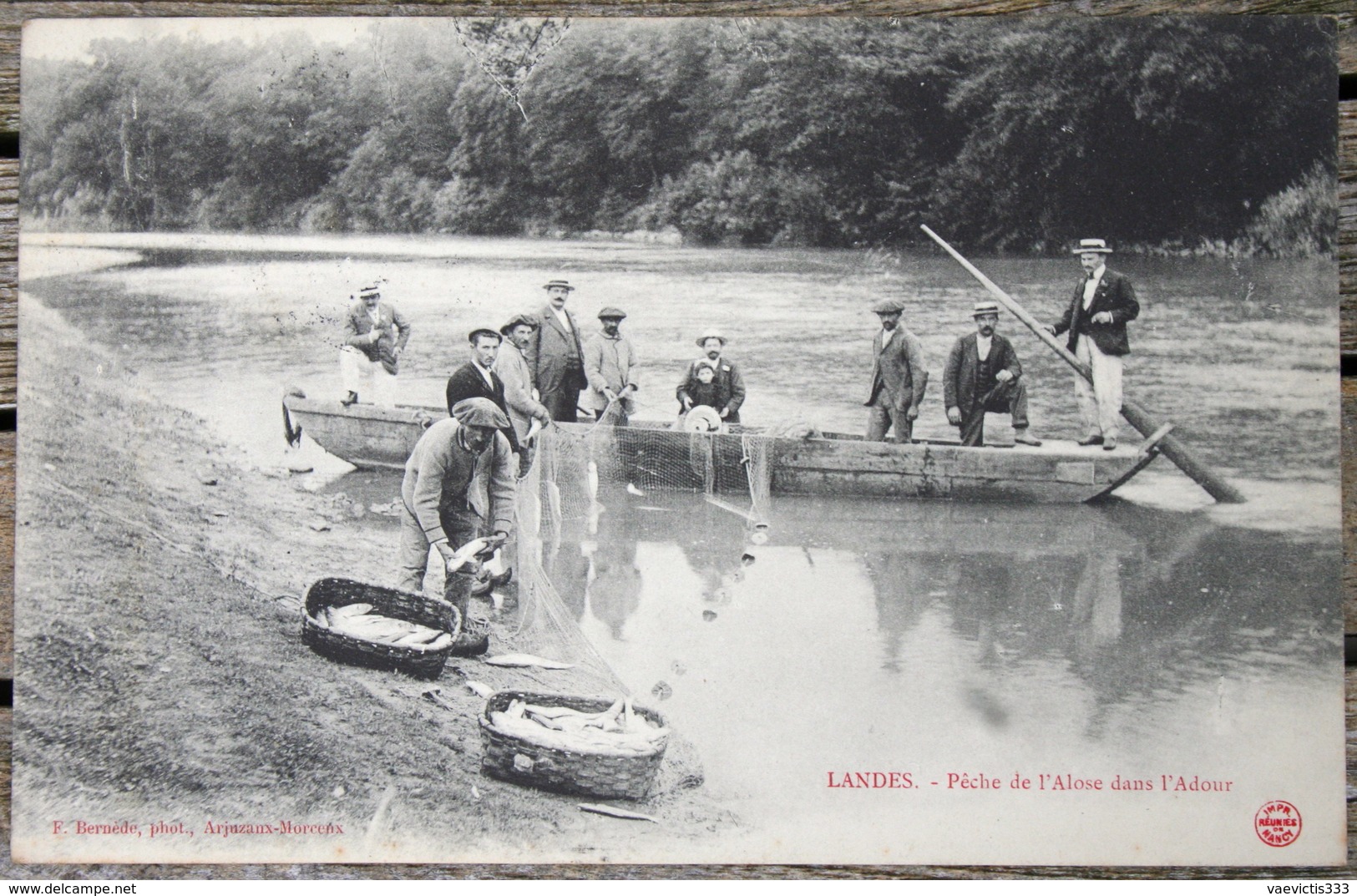 1737 CPA 40 PECHE DE L'ALOSE  DANS L'ADOUR 1909 M63 - Autres & Non Classés