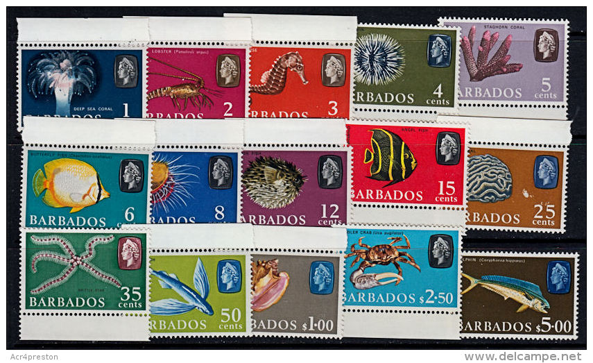 L0035 BARBADOS 1966, SG 342-55a  Fish  Definitives, Mnh (watermarked Issue, Except $5 Stamp Which Was Only Unwatermarked - Barbados (1966-...)