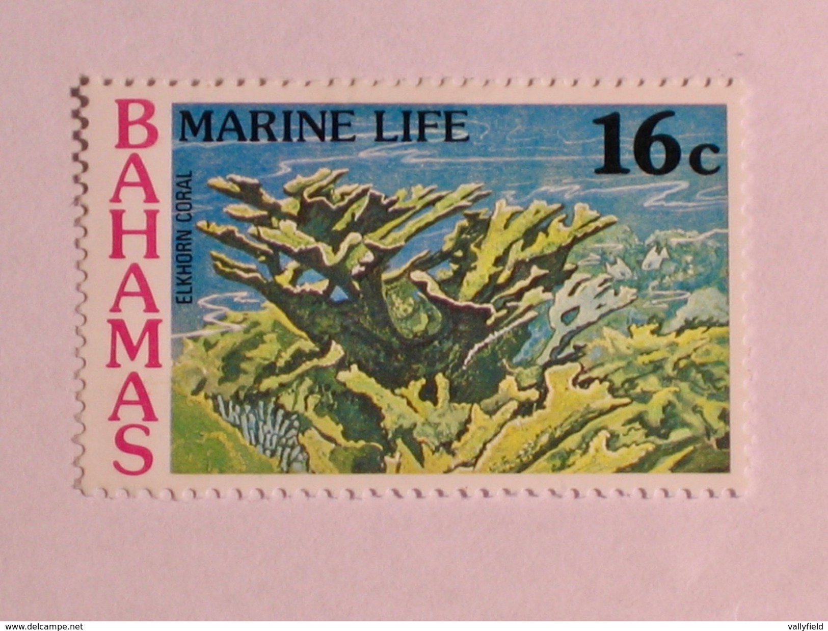 BAHAMAS  1977   LOT# 19  MARINE LIFE - Bahamas (1973-...)