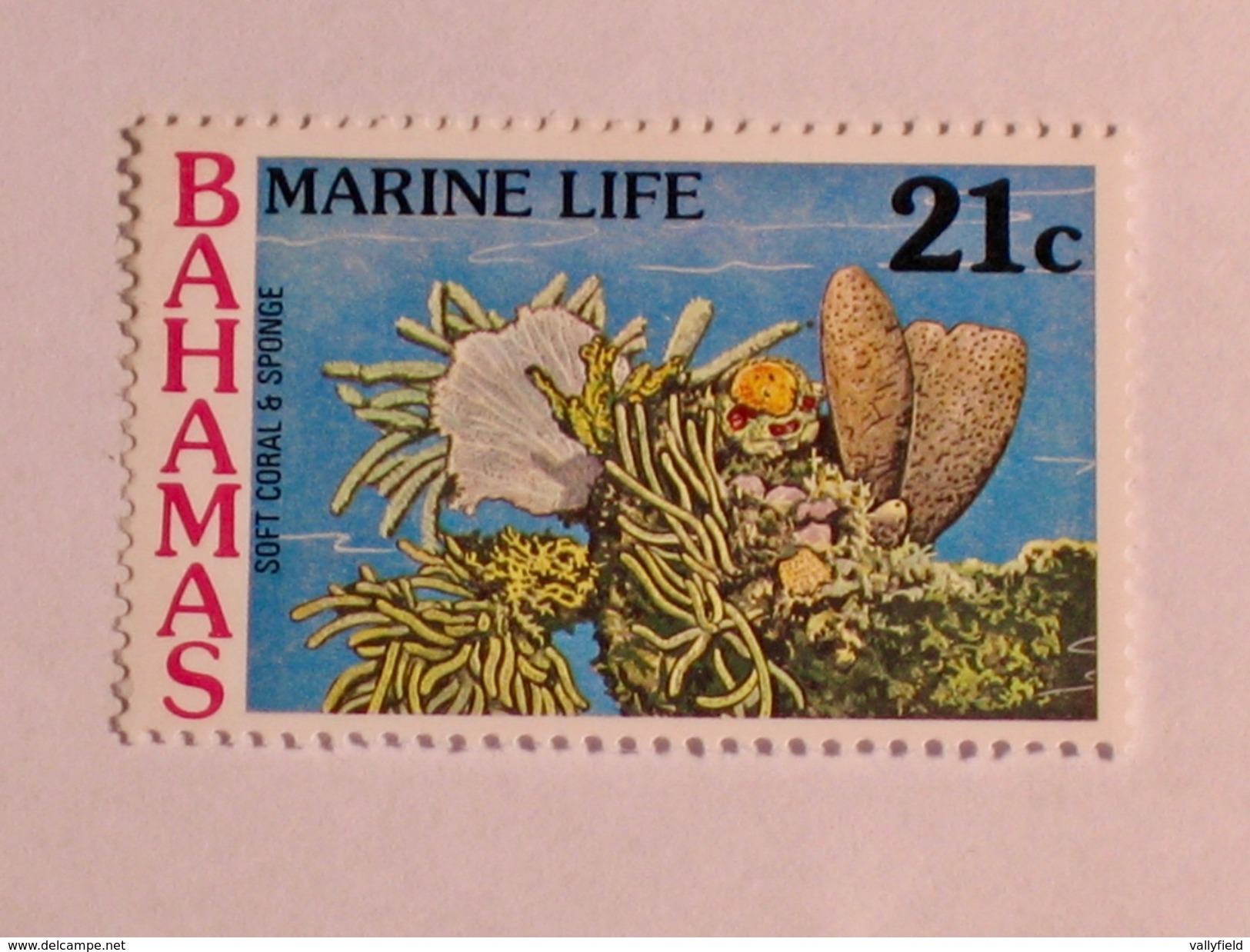 BAHAMAS  1977   LOT# 20  MARINE LIFE - Bahamas (1973-...)