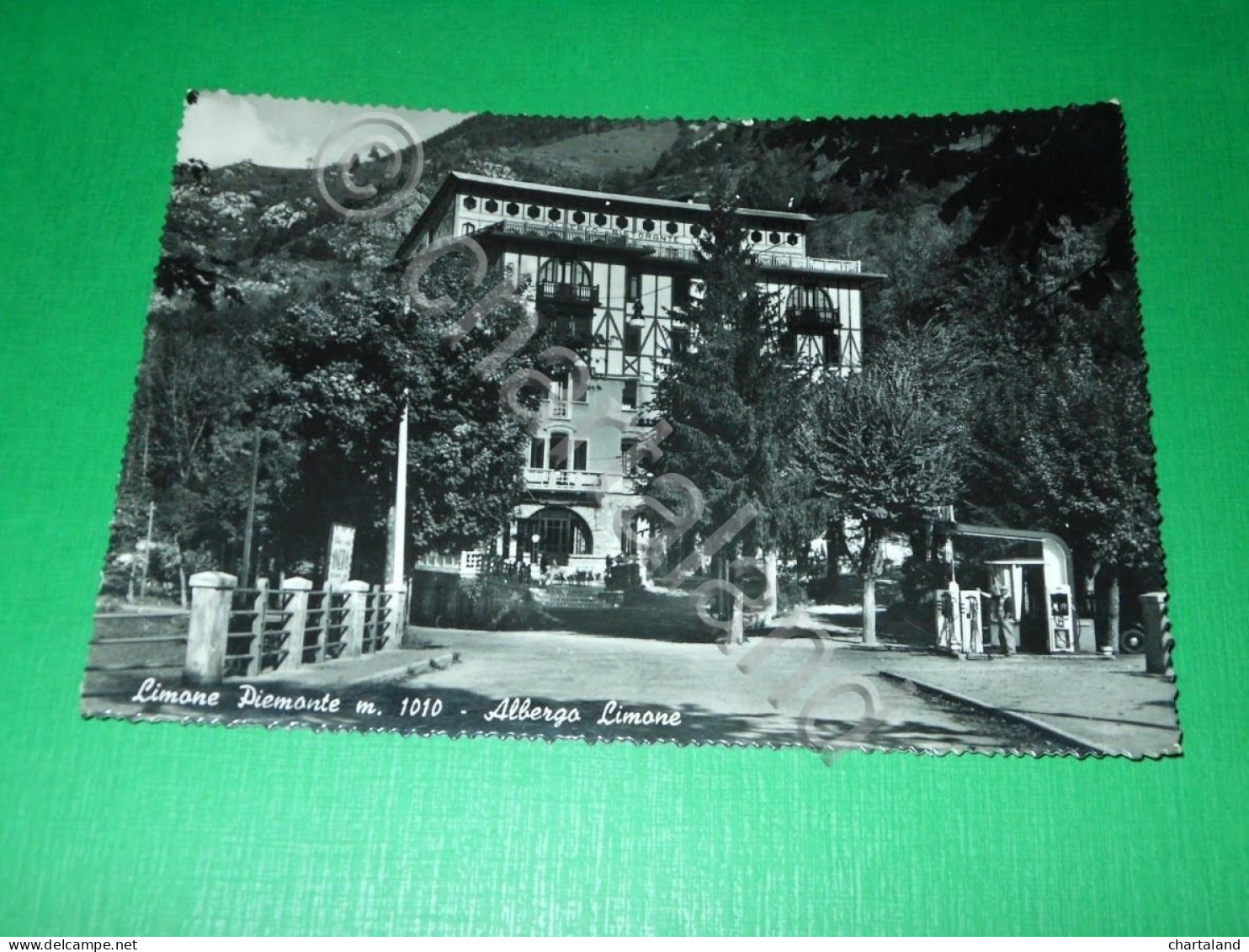 Cartolina Limone Piemonte - Albergo Limone 1955 - Cuneo