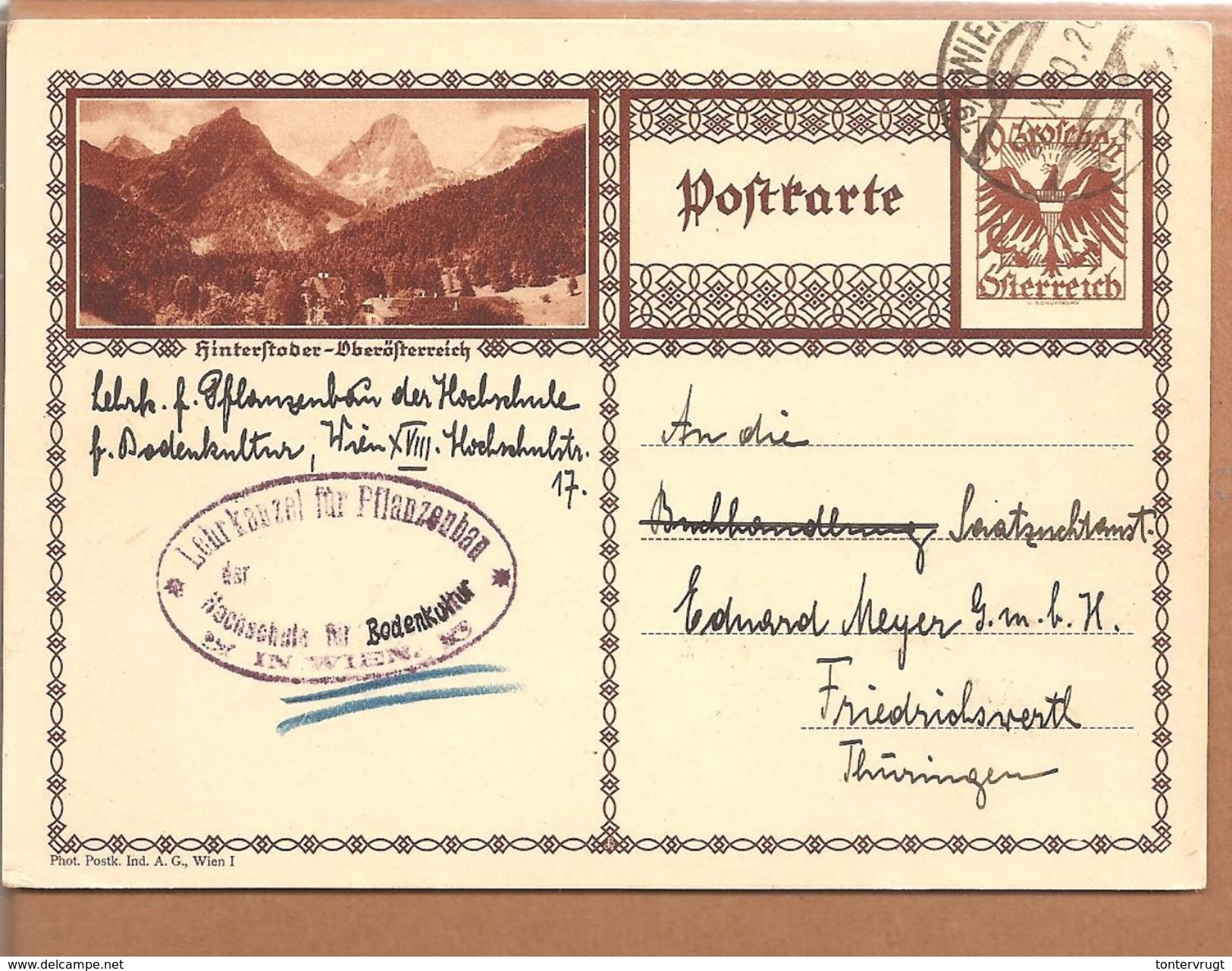 Bildpostkarte Adler 10 Gr. Hinterstoder - Sonstige & Ohne Zuordnung