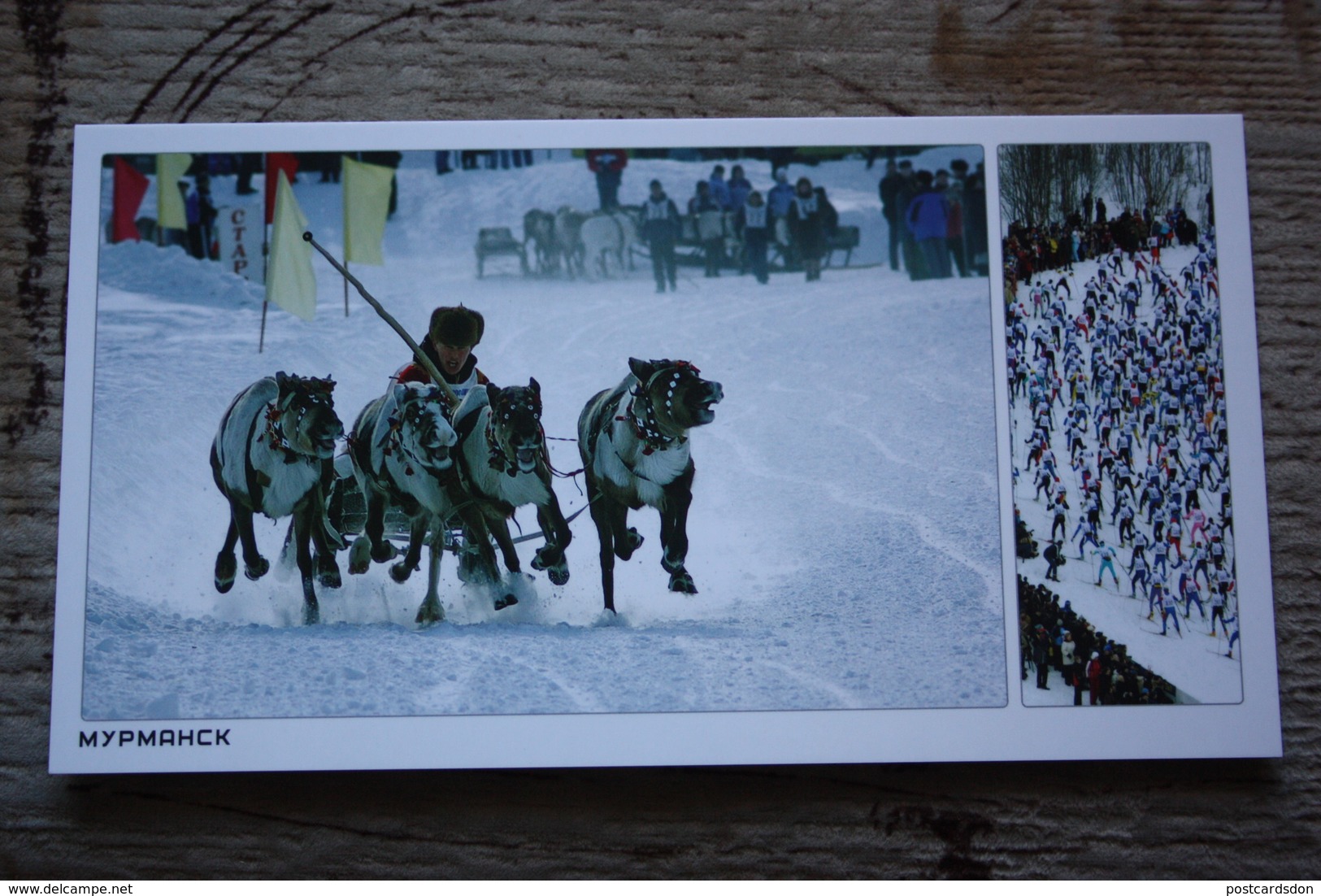 Russia. North. Traditional National Games . Deer Race  - Modern Russian Postcard - Regional Games