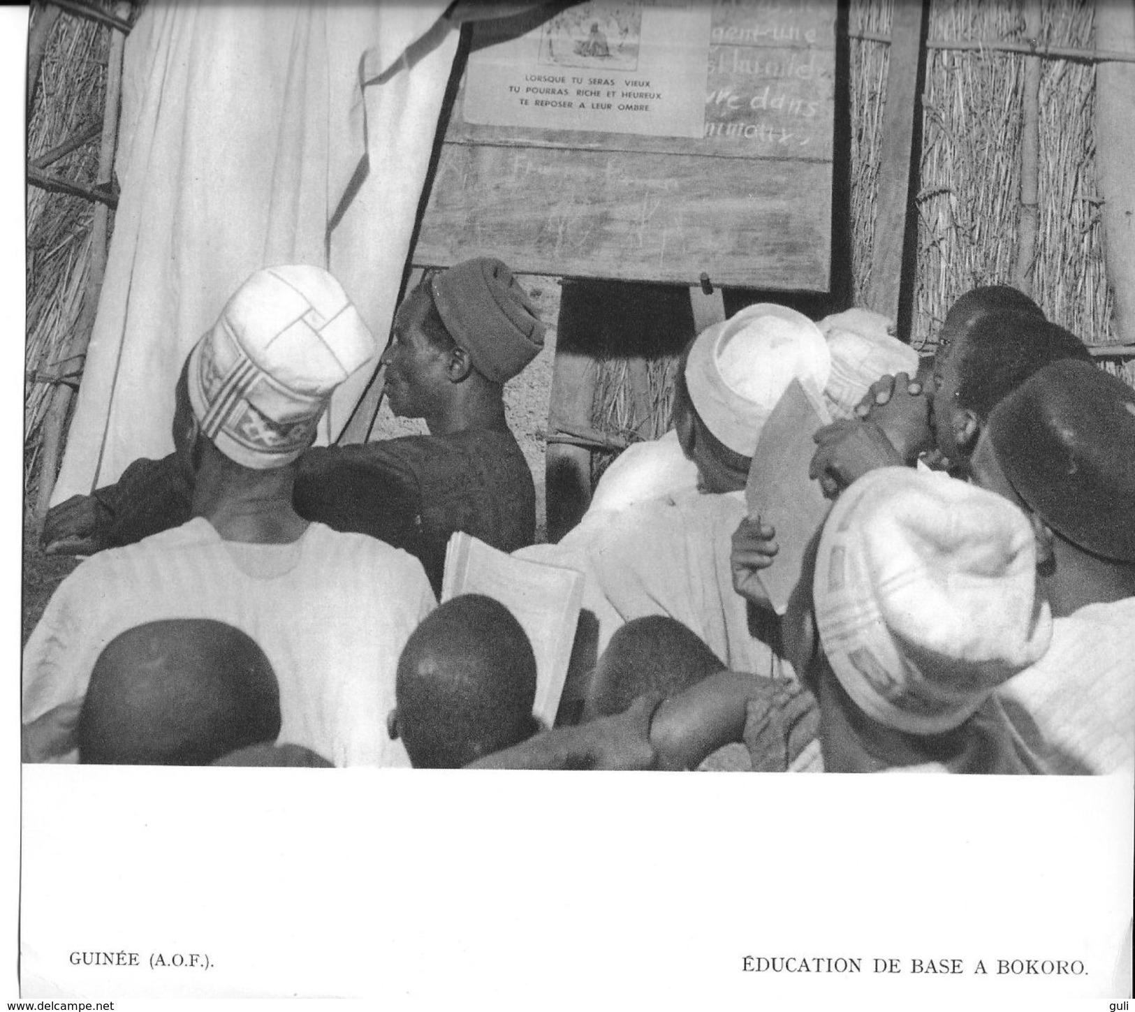 Afrique Noire   (A.O.F)  GUINEE Education De Base à BOKORO  -Planche Format  31 X 24 Cms *PRIX FIXE - Africa