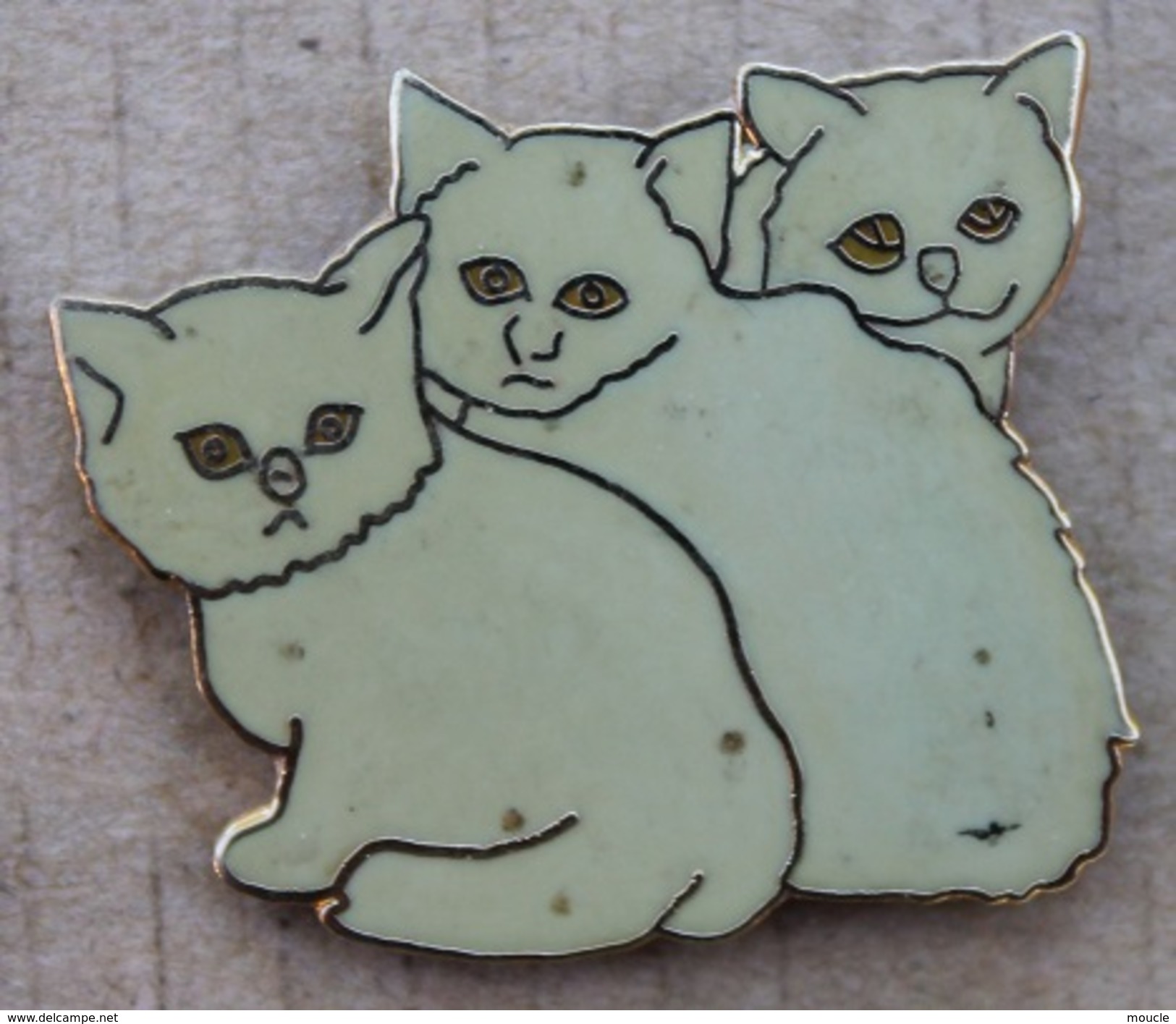 TROIS CHATON GRIS- BEIGE -  CHAT - CAT -                  (JAUNE) - Tiere