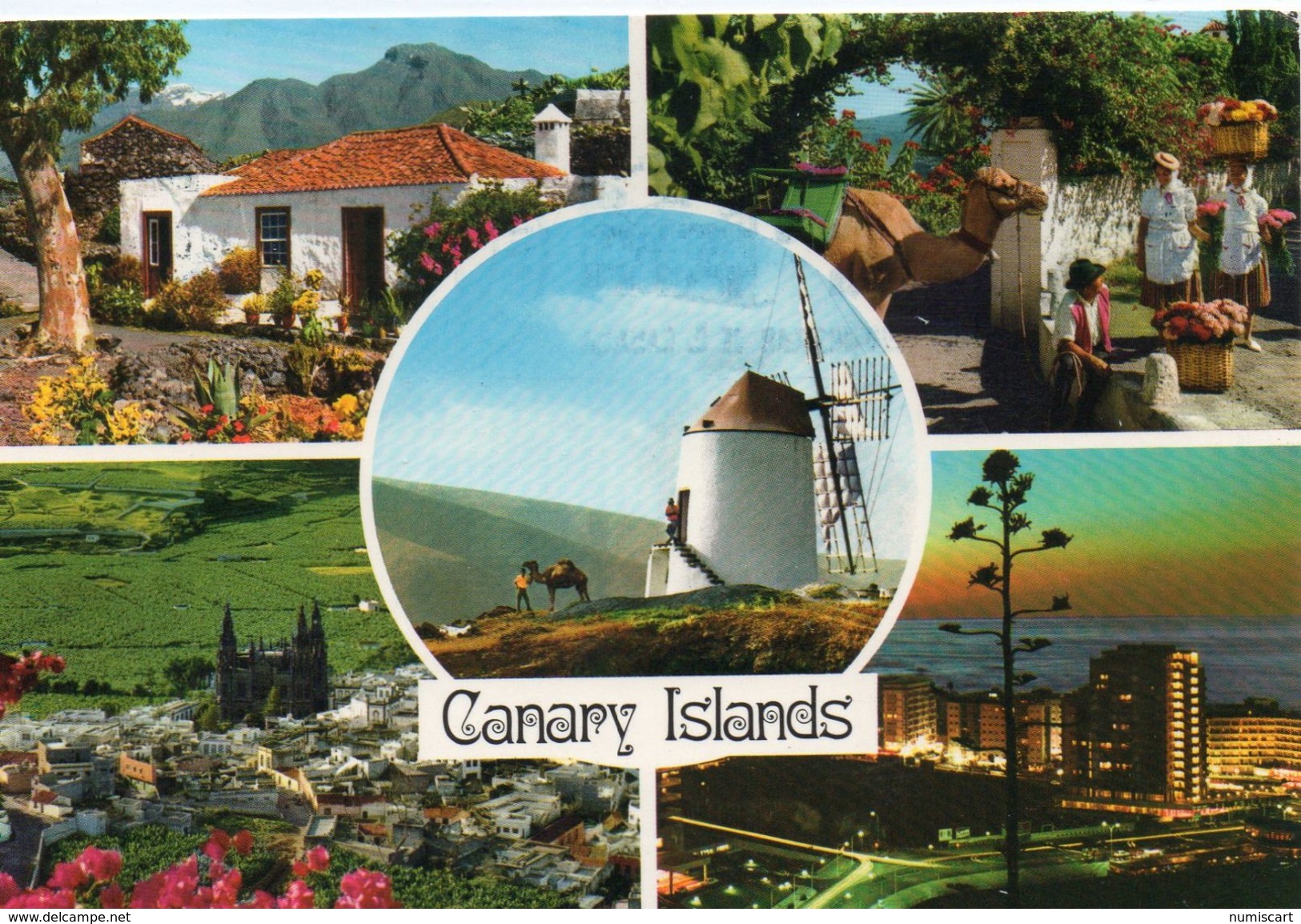 Espagne Iles Canaries Canary Islands Belle Multi-vues Animée Moulin à Vent - Autres & Non Classés