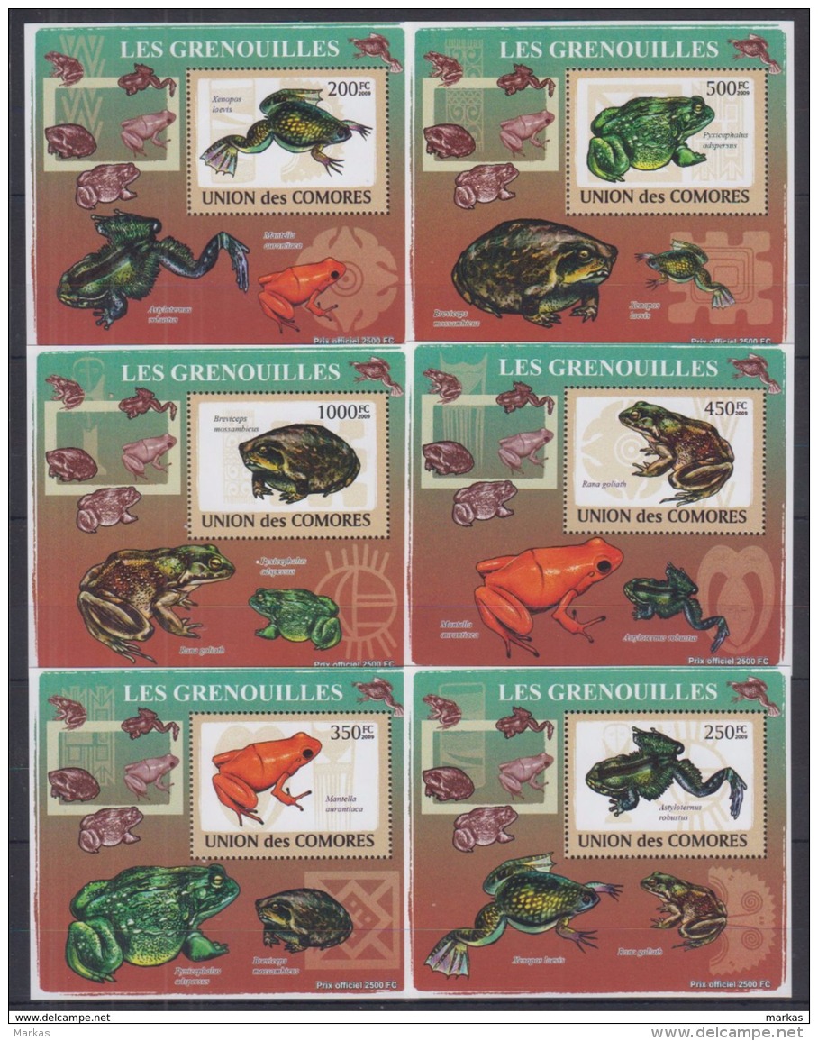 R44. Comoros - MNH - Animals - Reptiles - Frogs - Deluxe - 2009 - Frösche