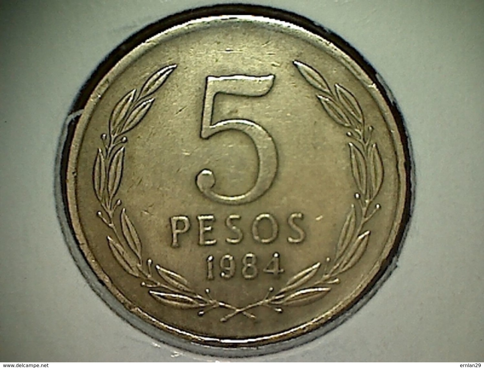 Chile 5 Pesos 1984 - Chile