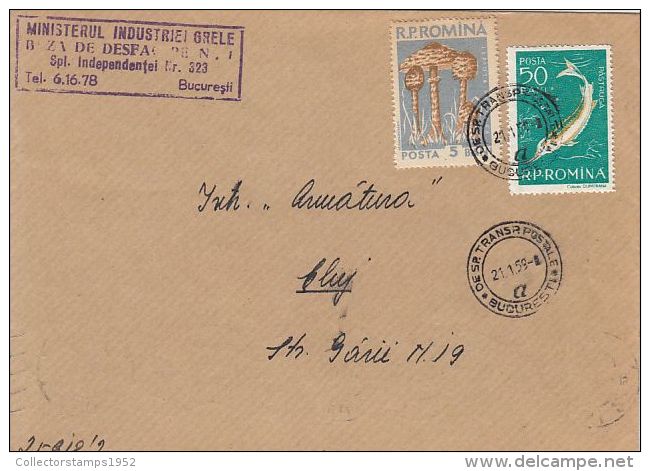 62188- MUSHROOMS, STURGEON FISH, STAMPS ON COVER, 1959, ROMANIA - Lettres & Documents