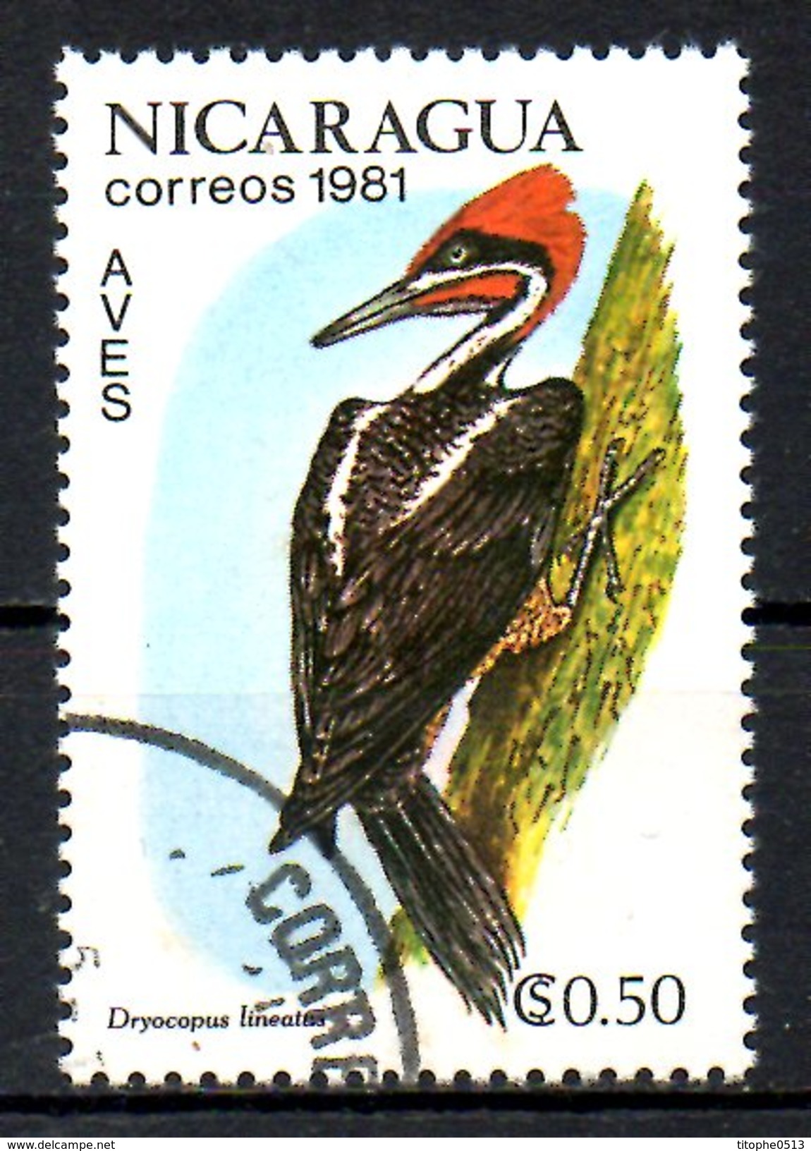 NICARAGUA. N°1161 Oblitéré De 1981. Pic. - Specht- & Bartvögel